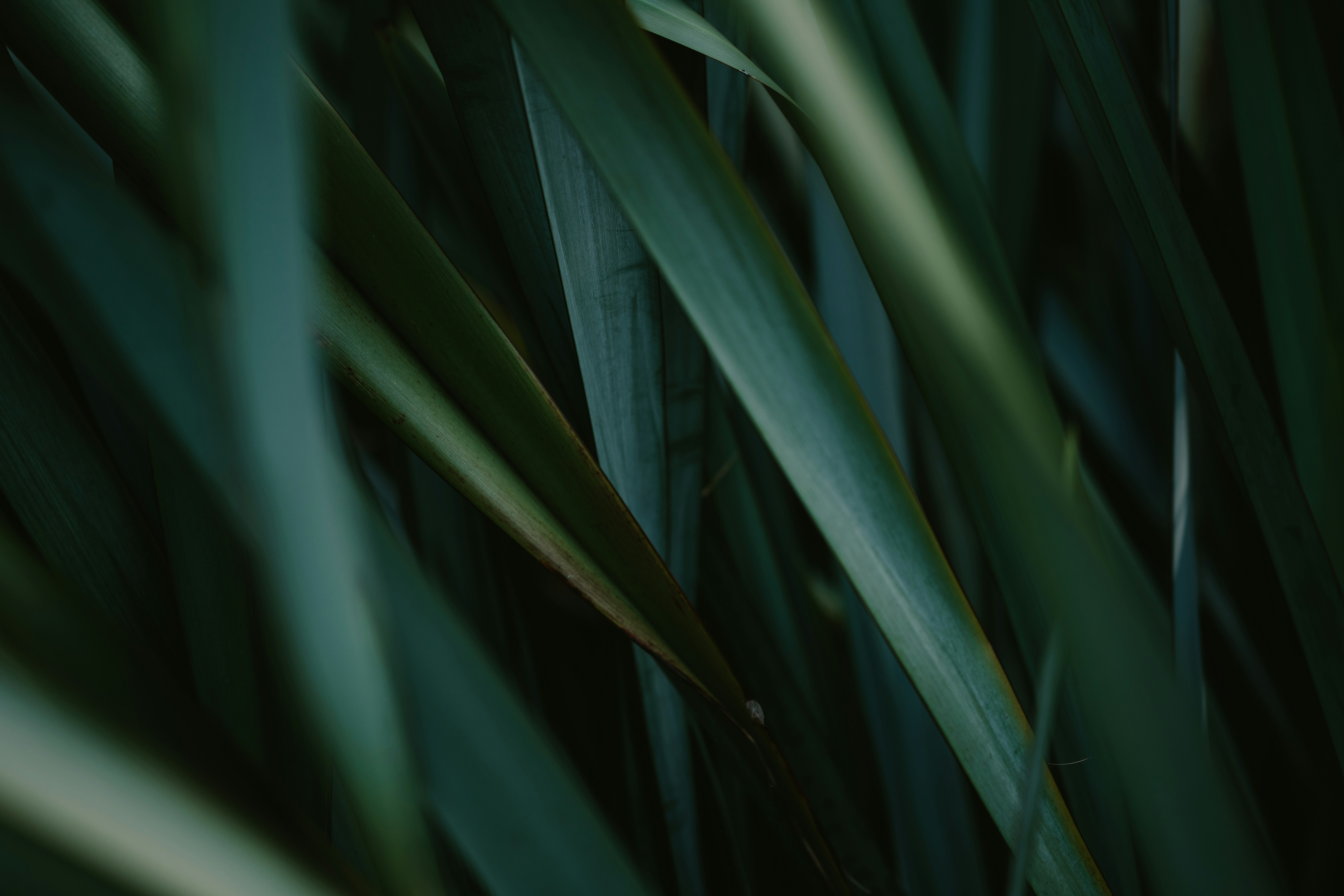 Photo by anniespratt