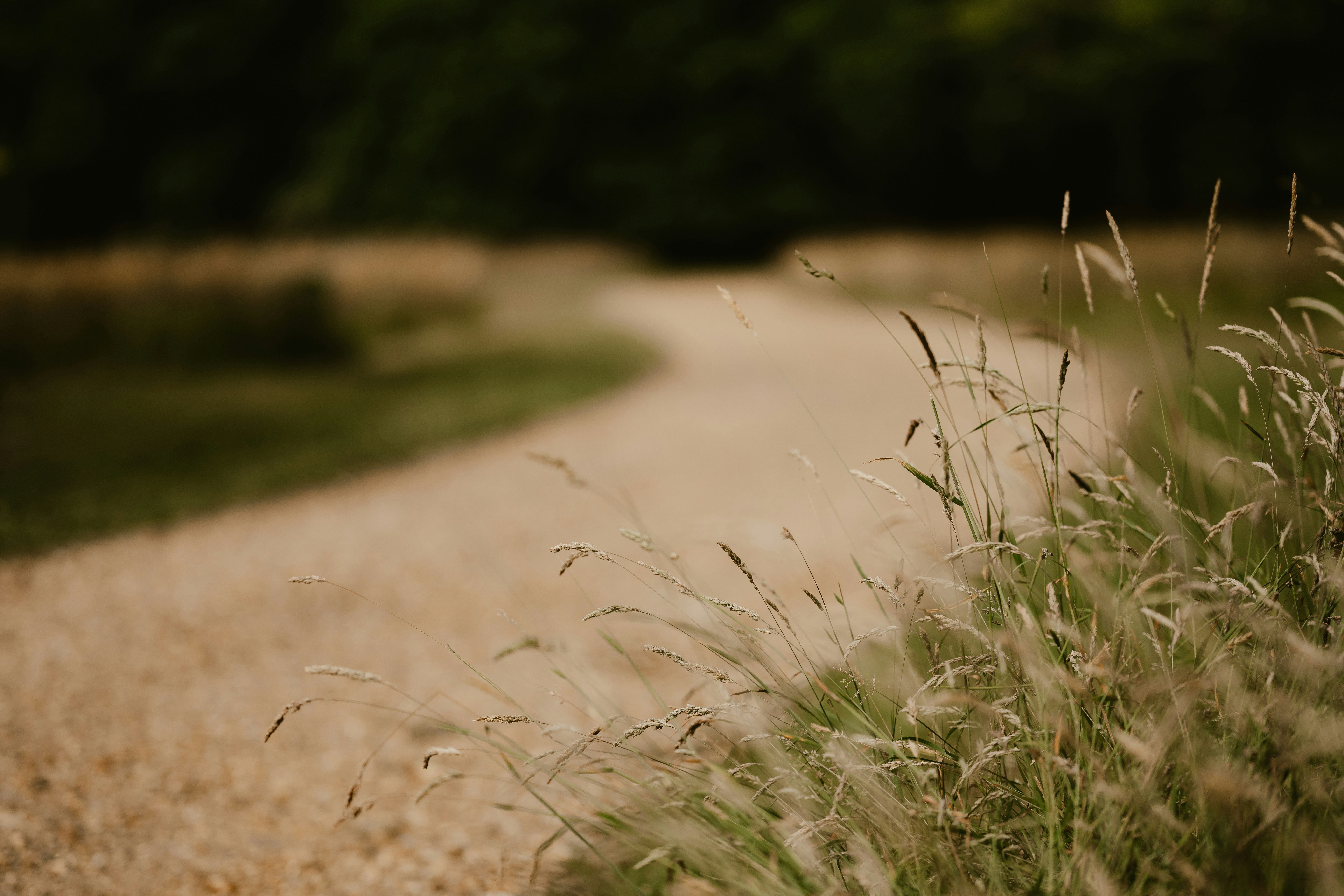 Photo by anniespratt