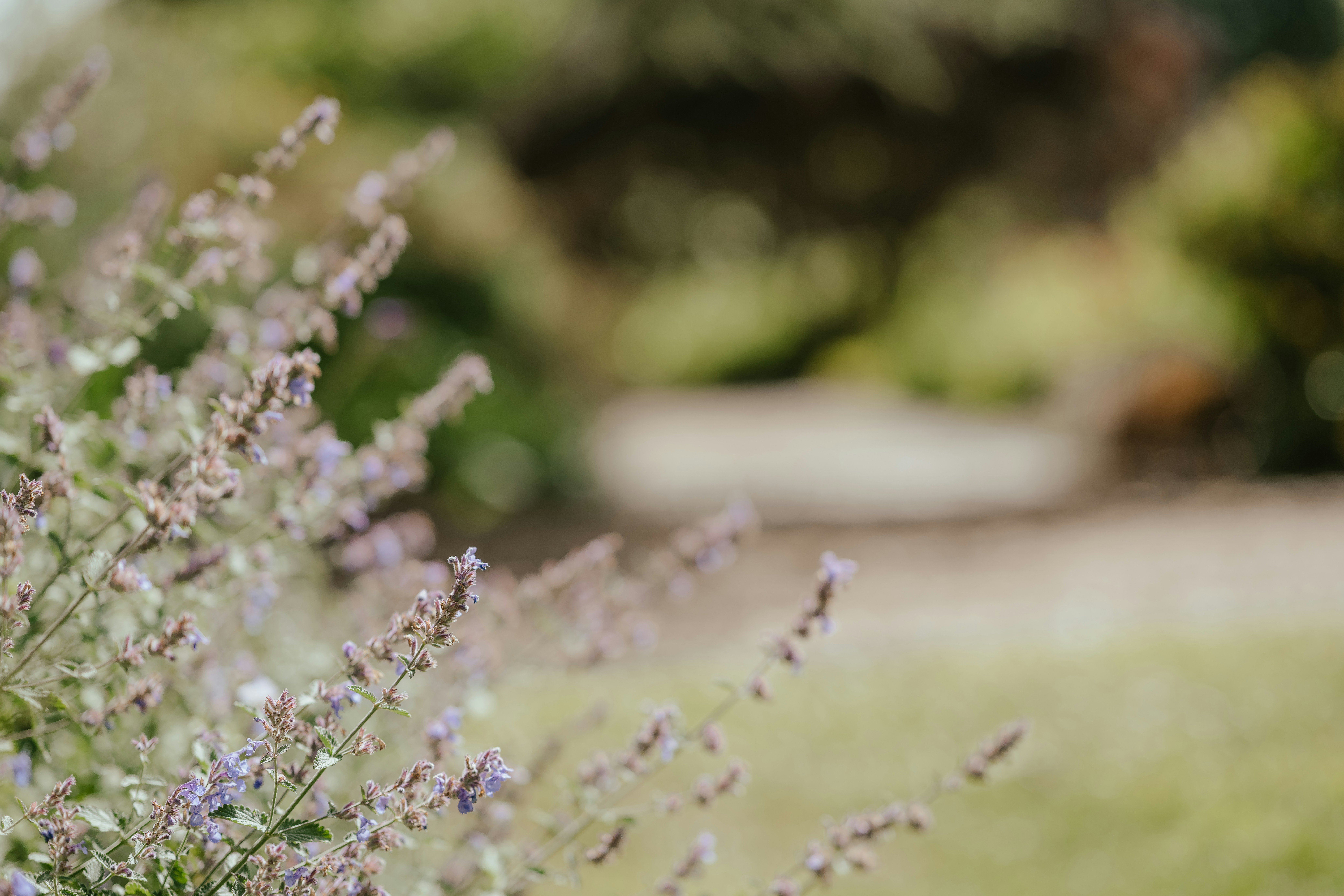 Photo by anniespratt