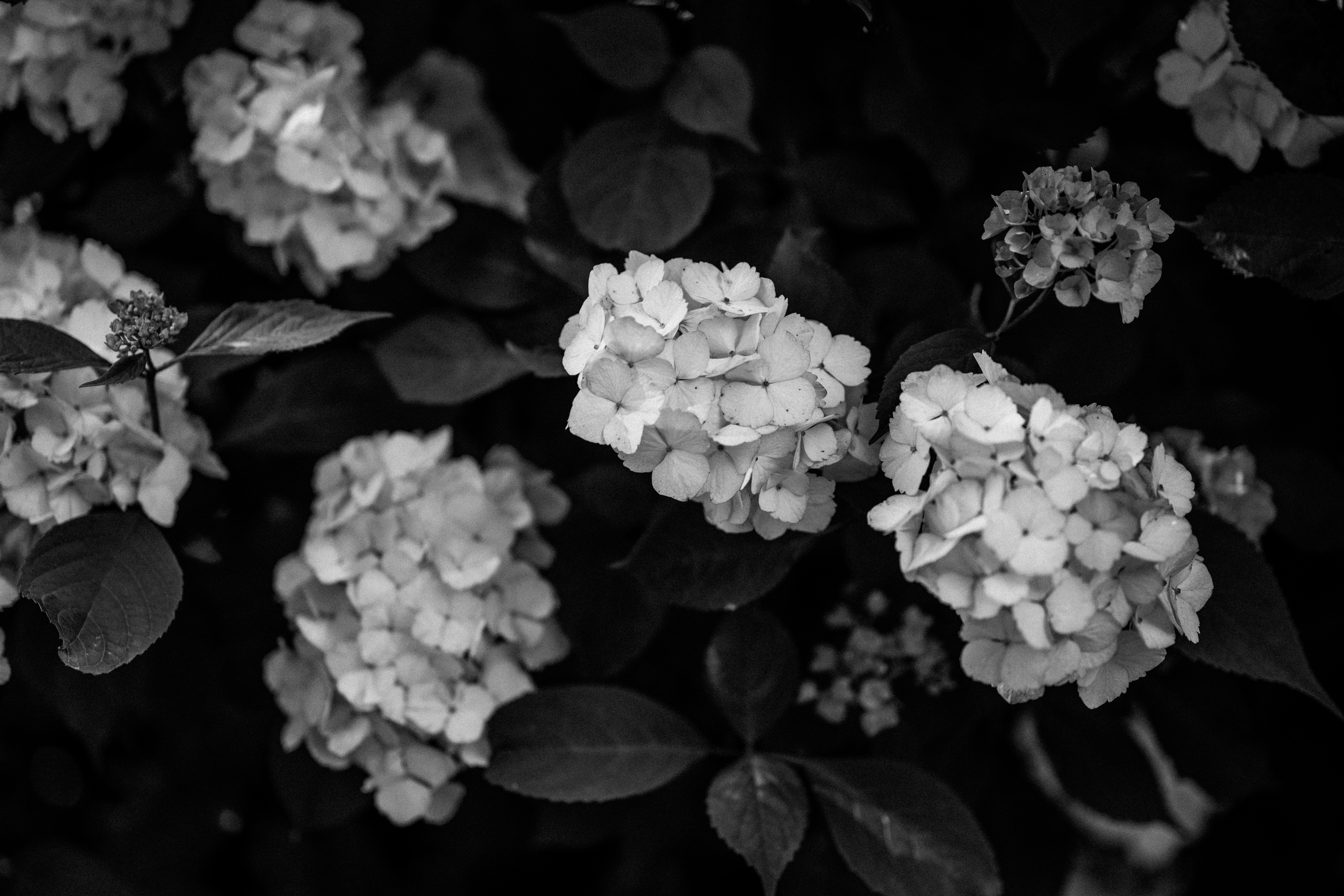 Photo by anniespratt