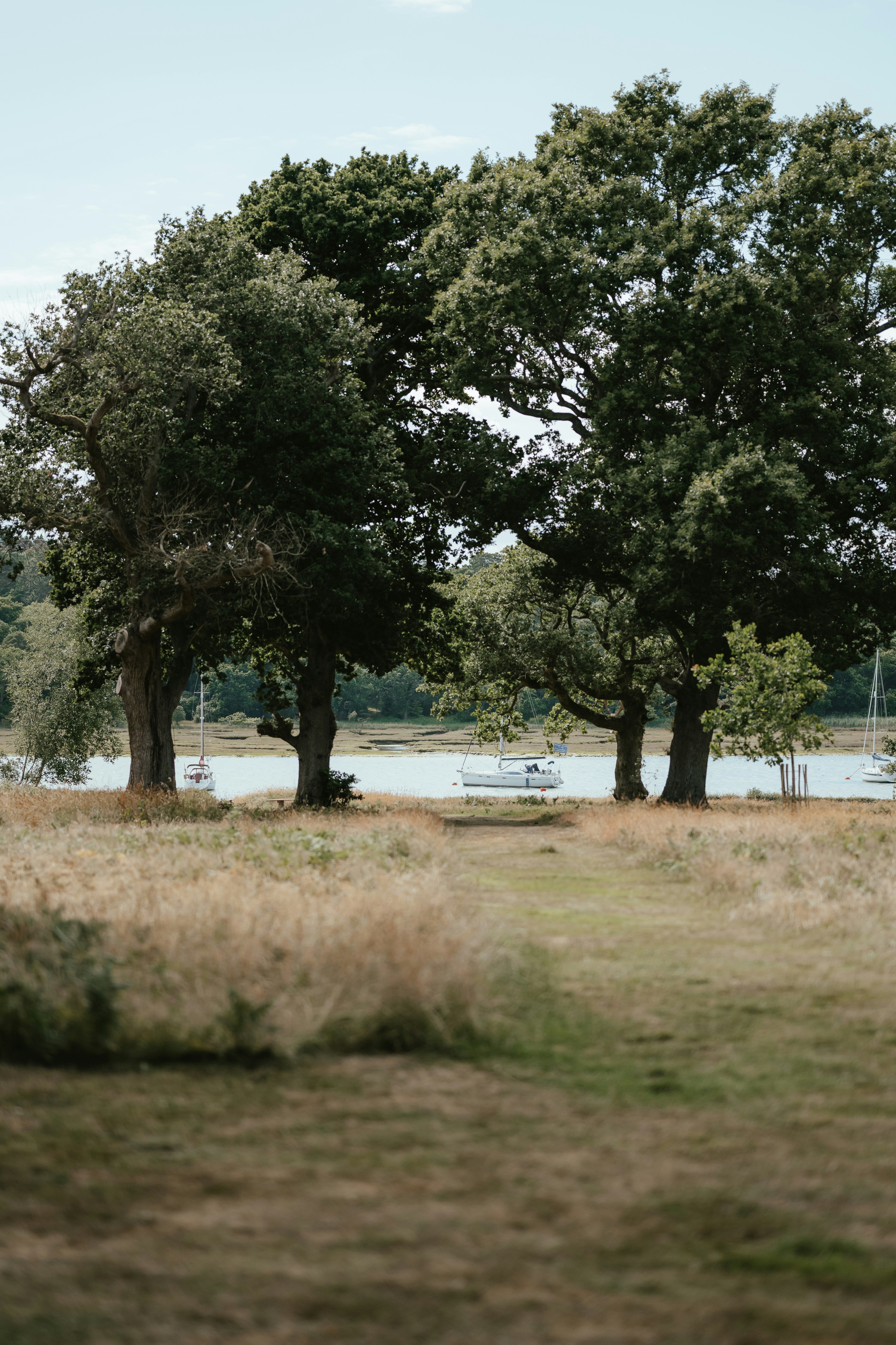 Photo by anniespratt