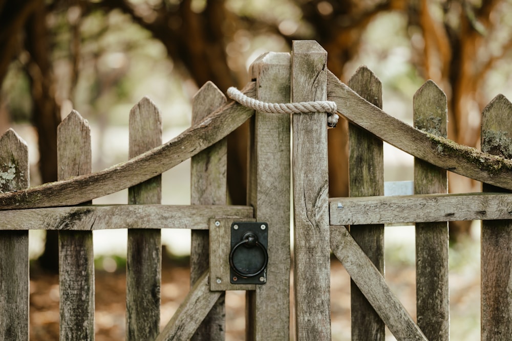 木製の柵の上のカメラ