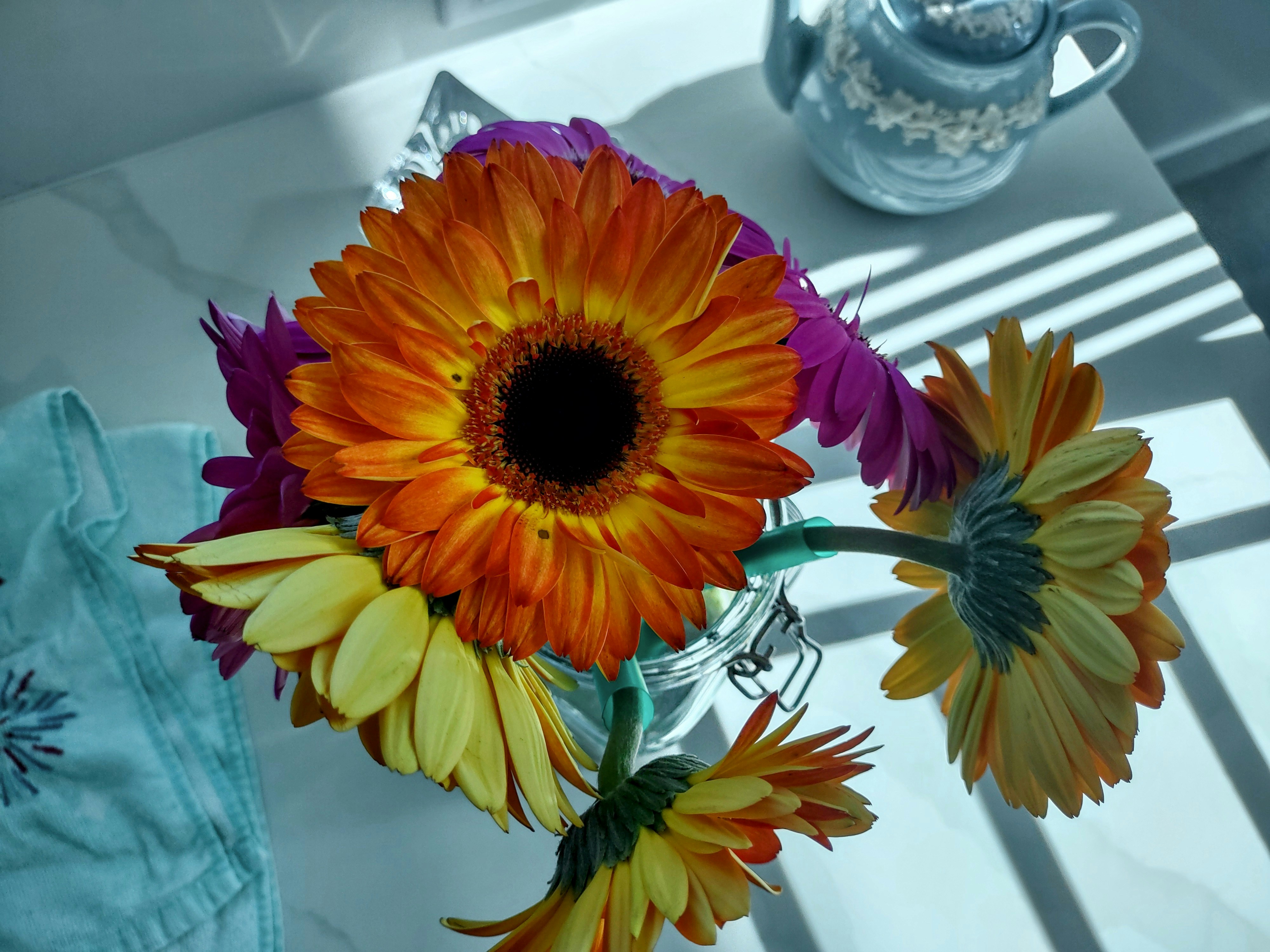 Sunlit Daisy Bouquet
