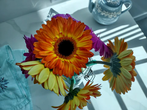 Close-up of a seasonal arrangement with bright daisies and soft blue delphiniums in a glass jar.