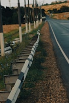 A rural road stretches into the distance, bordered on one side by a metal guardrail with black and white segments. There are utility poles lined up parallel to the road, standing on a grassy area with wildflowers. The scene includes a background of green trees and a hilly landscape with dry grass.