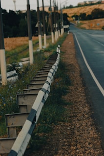 A rural road stretches into the distance, bordered on one side by a metal guardrail with black and white segments. There are utility poles lined up parallel to the road, standing on a grassy area with wildflowers. The scene includes a background of green trees and a hilly landscape with dry grass.