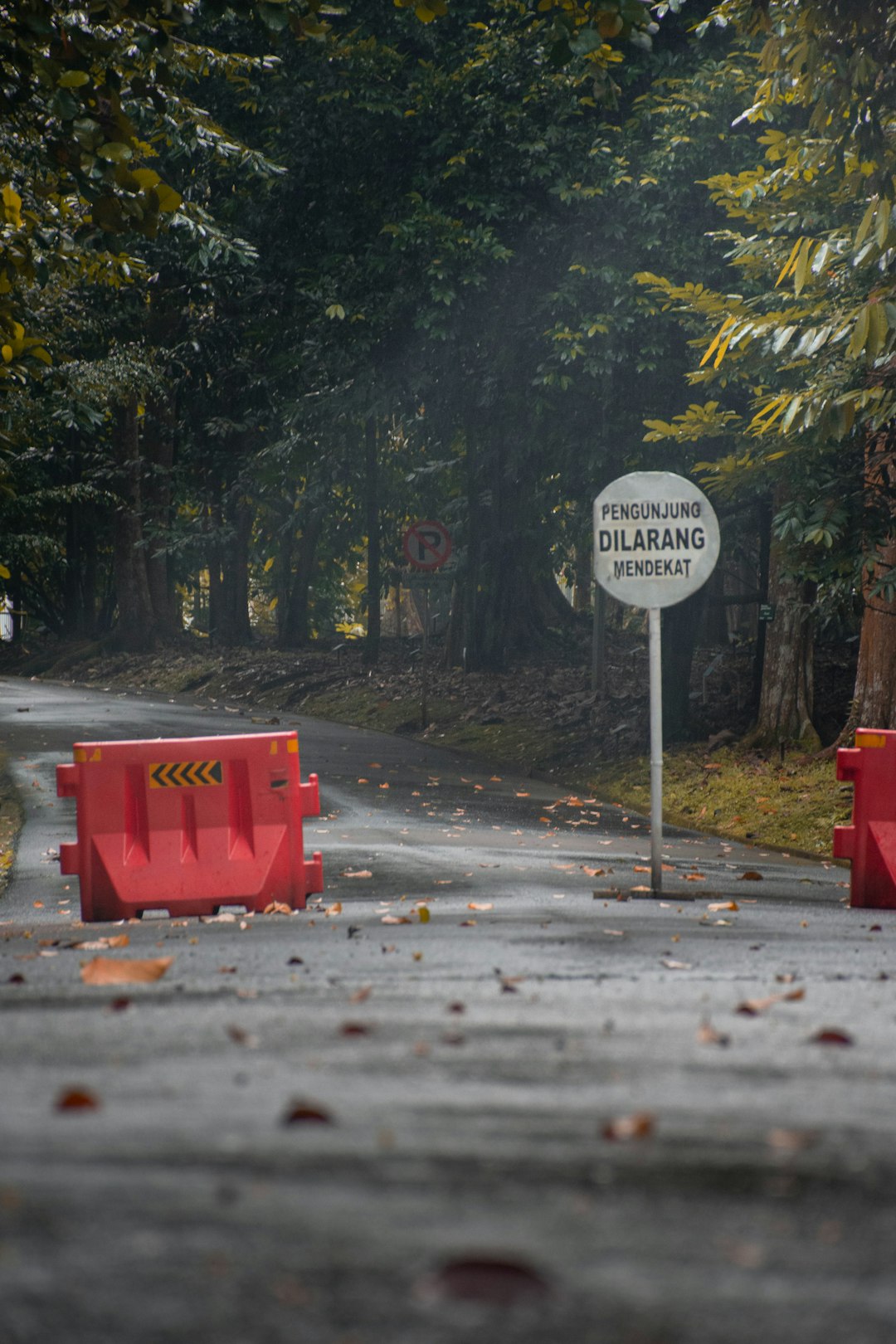 travelers stories about Natural landscape in Kebun Raya Bogor, Indonesia