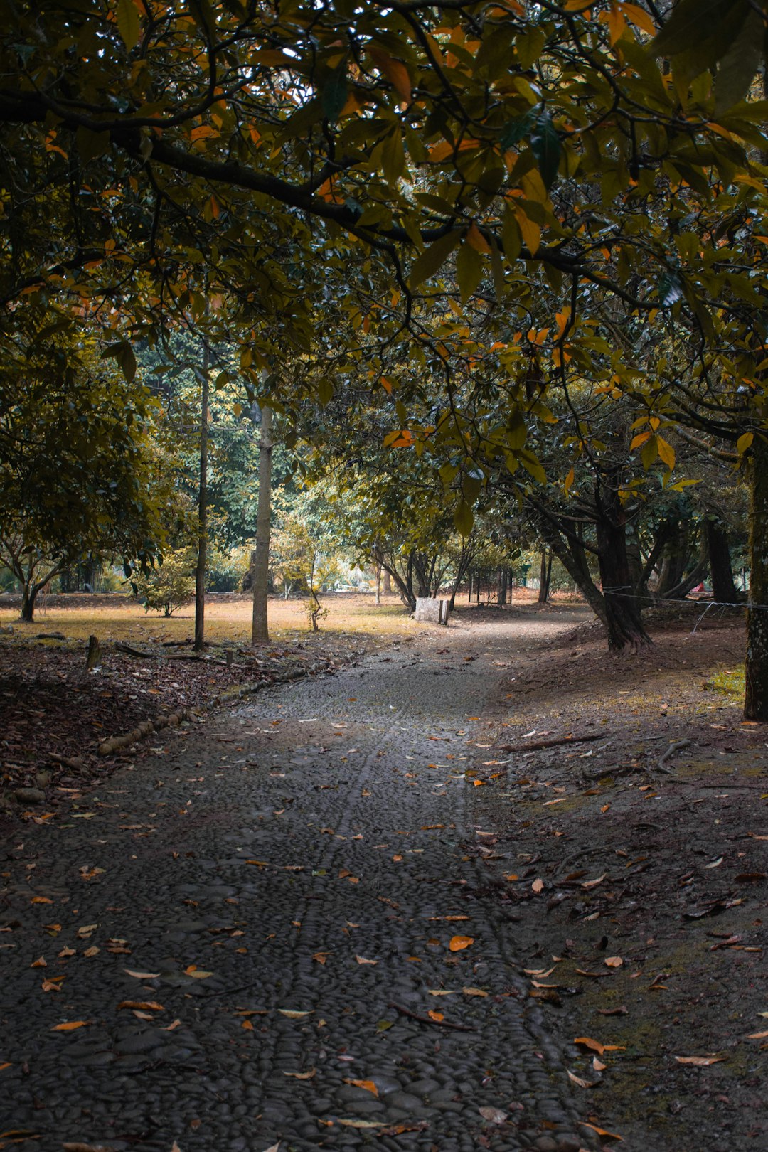 Natural landscape photo spot Kebun Raya Bogor Ragunan