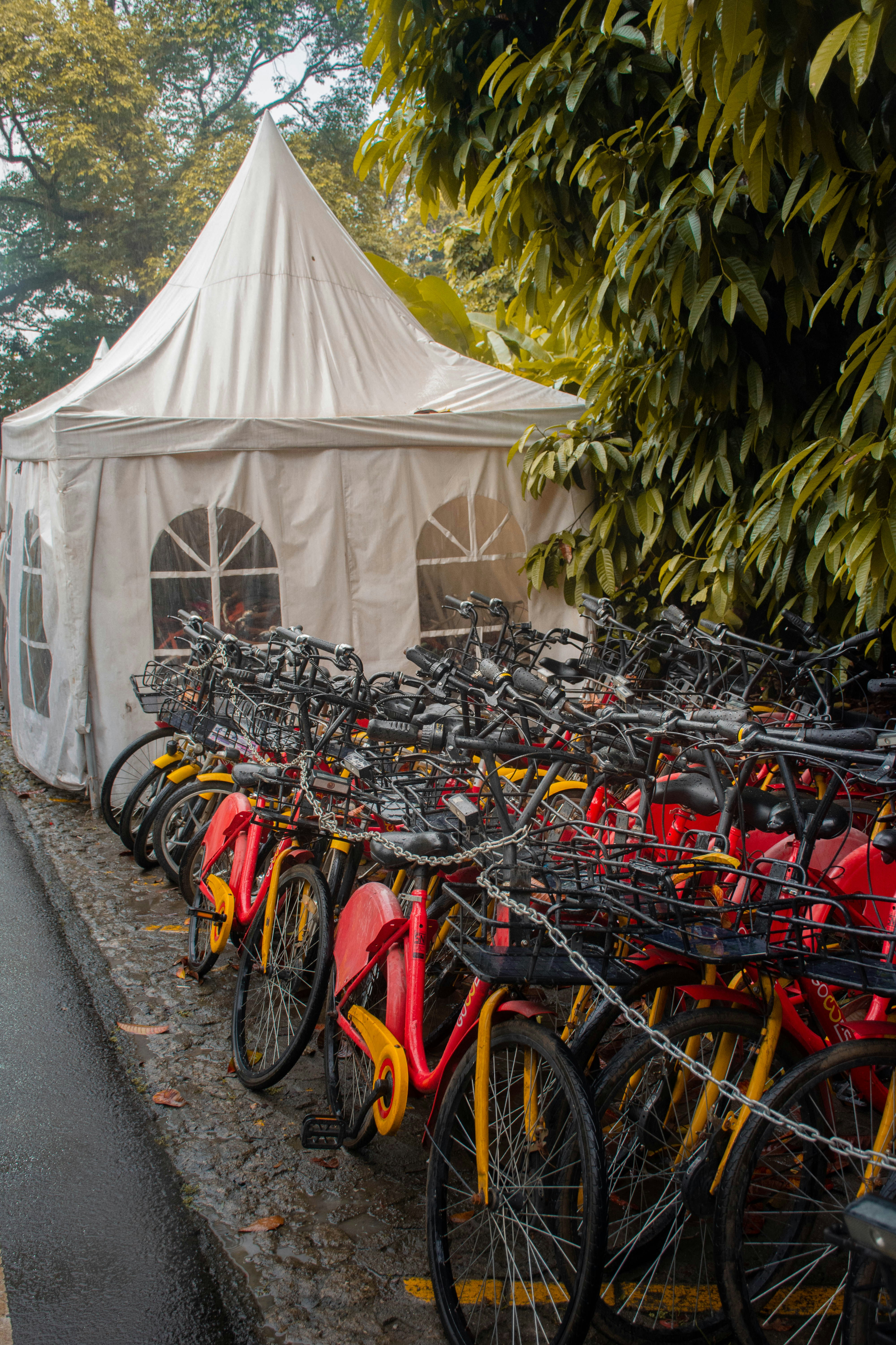 Sekelompok sepeda diparkir di luar tenda