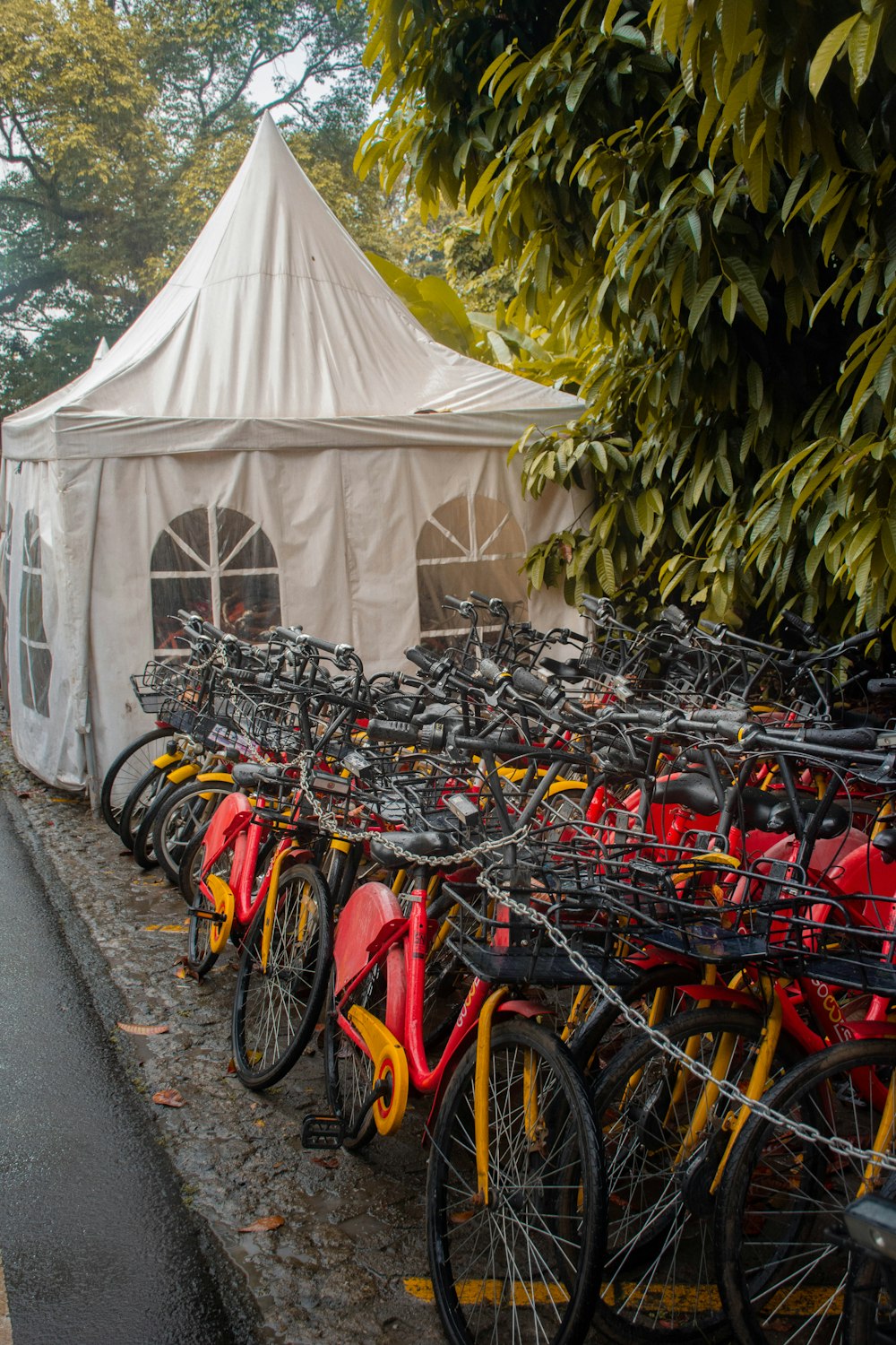 a group of bicycles parked outside a tent