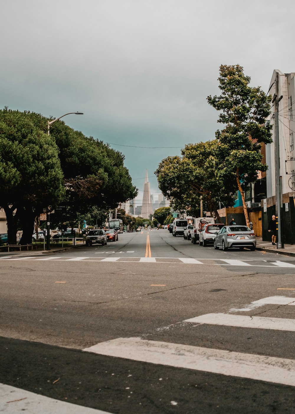 a street with cars and trees