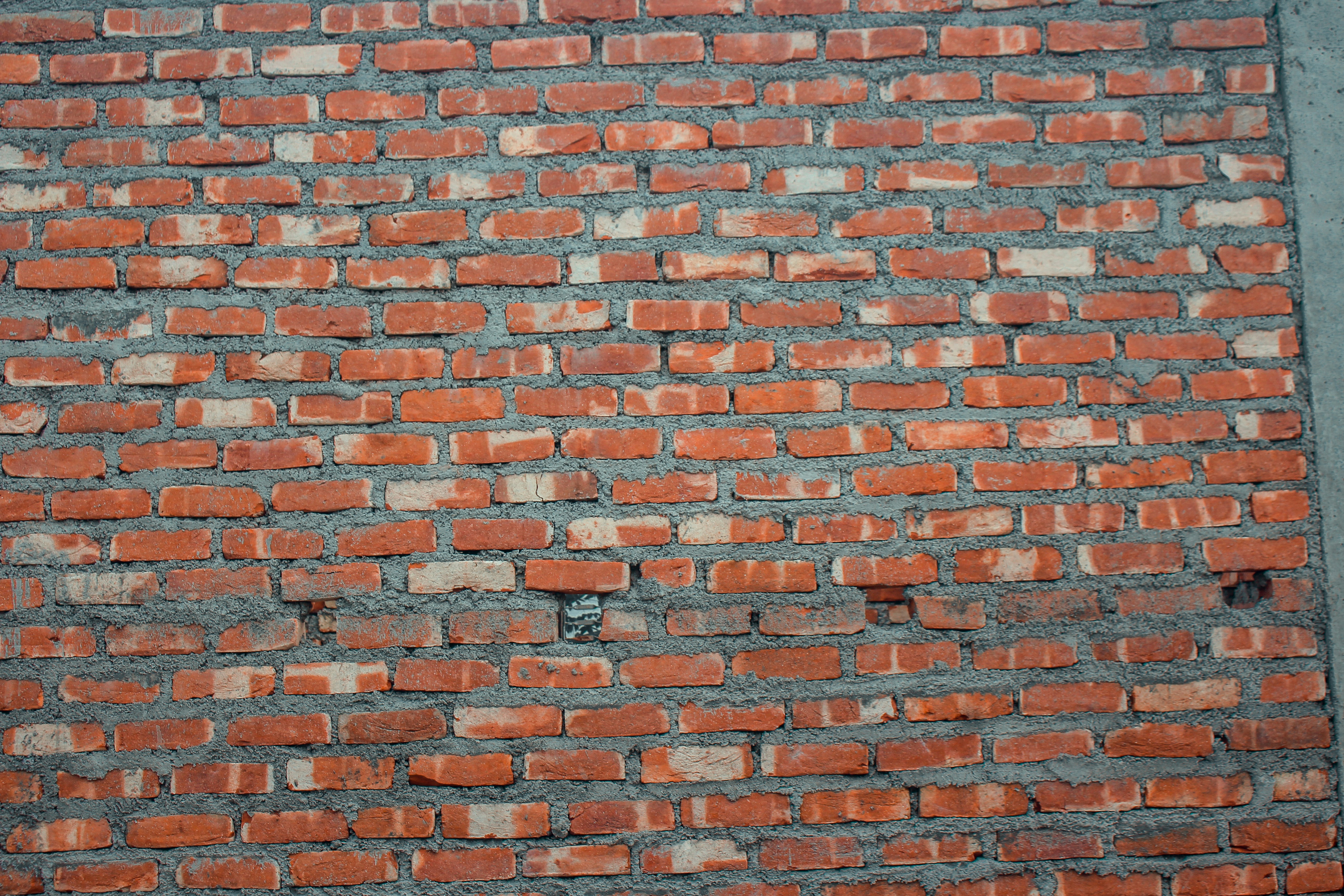 Photo by nishankatuwal7