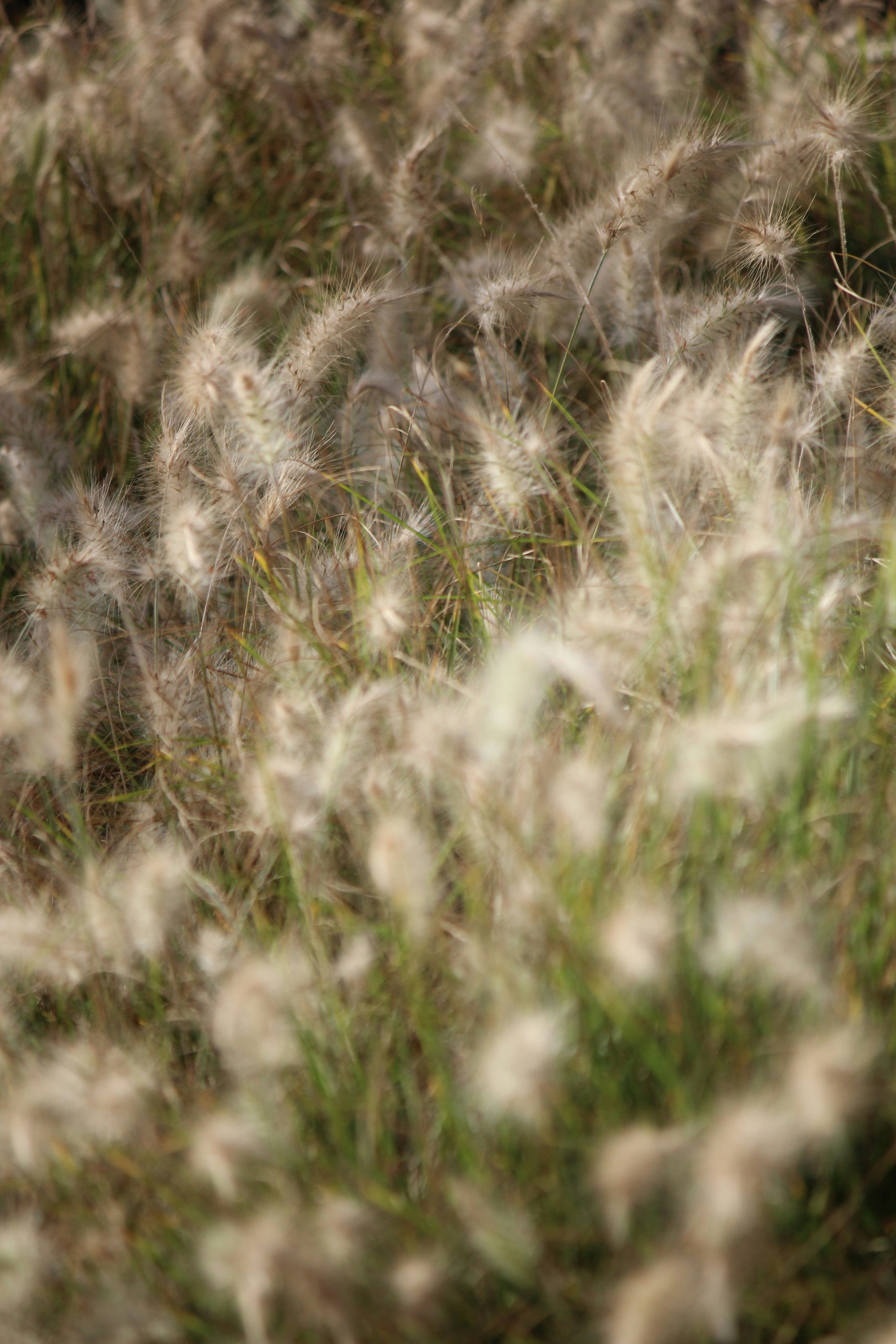 Photo by elmountassir1