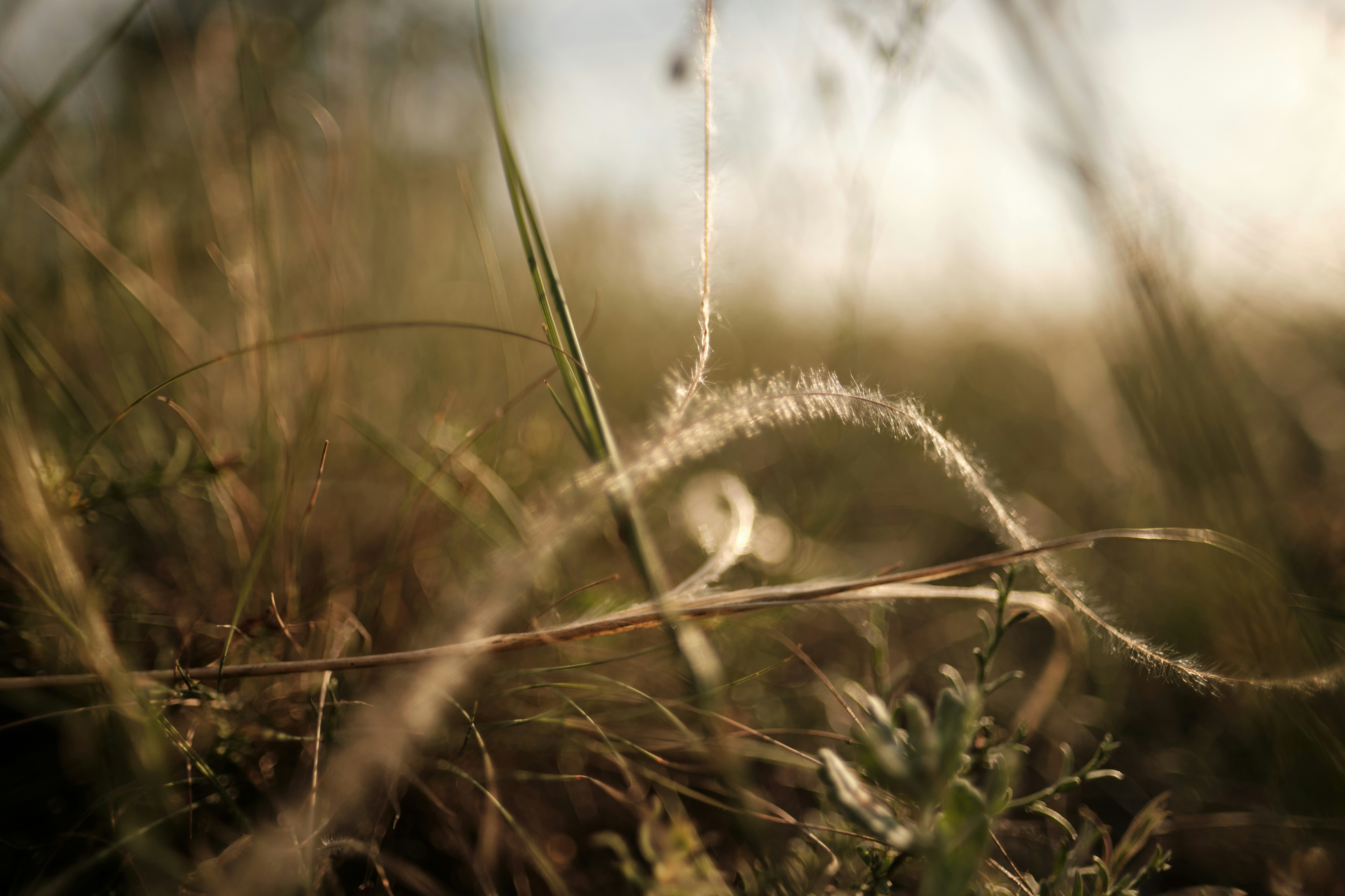 Photo by halofourteen