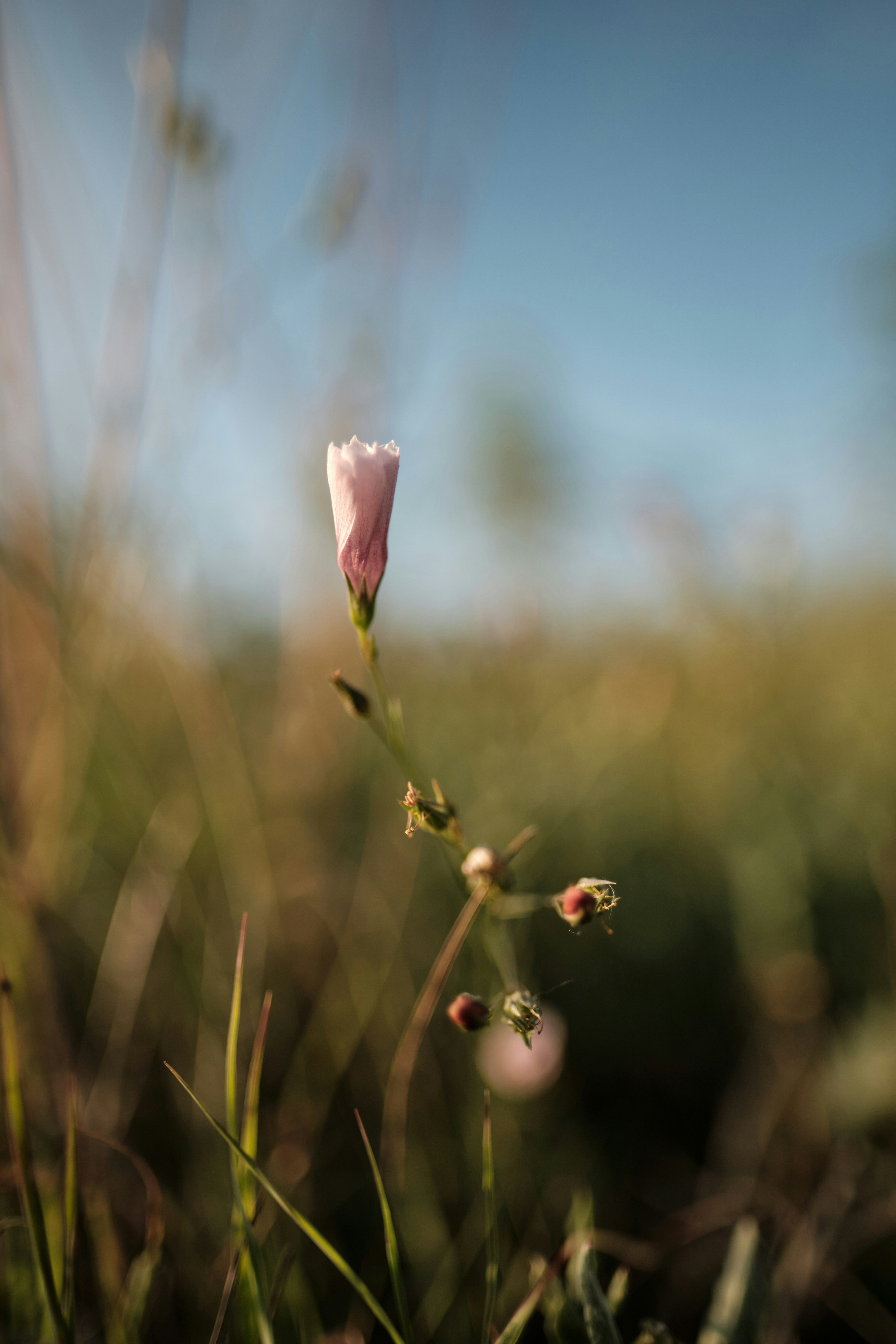 Photo by halofourteen