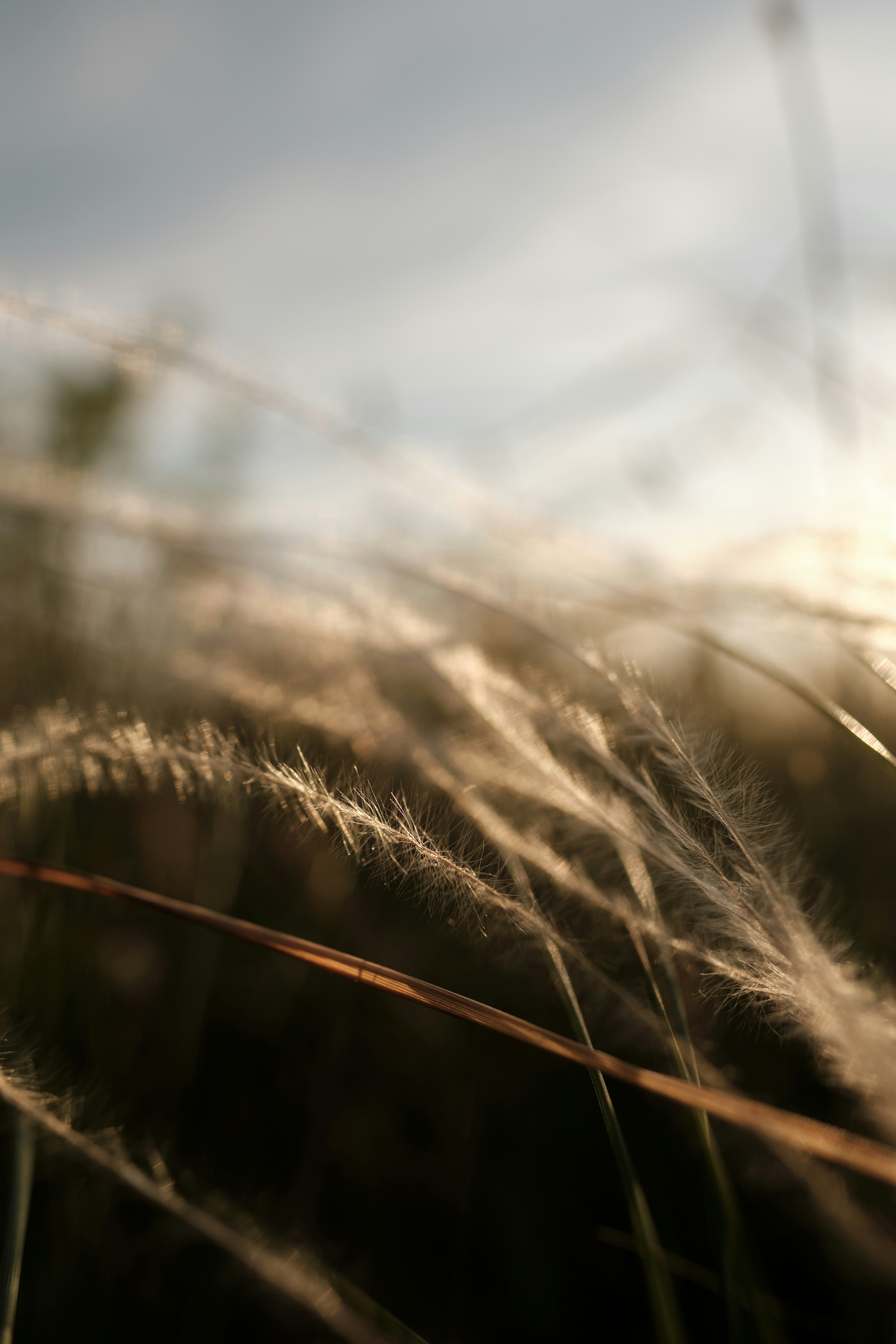 Photo by halofourteen