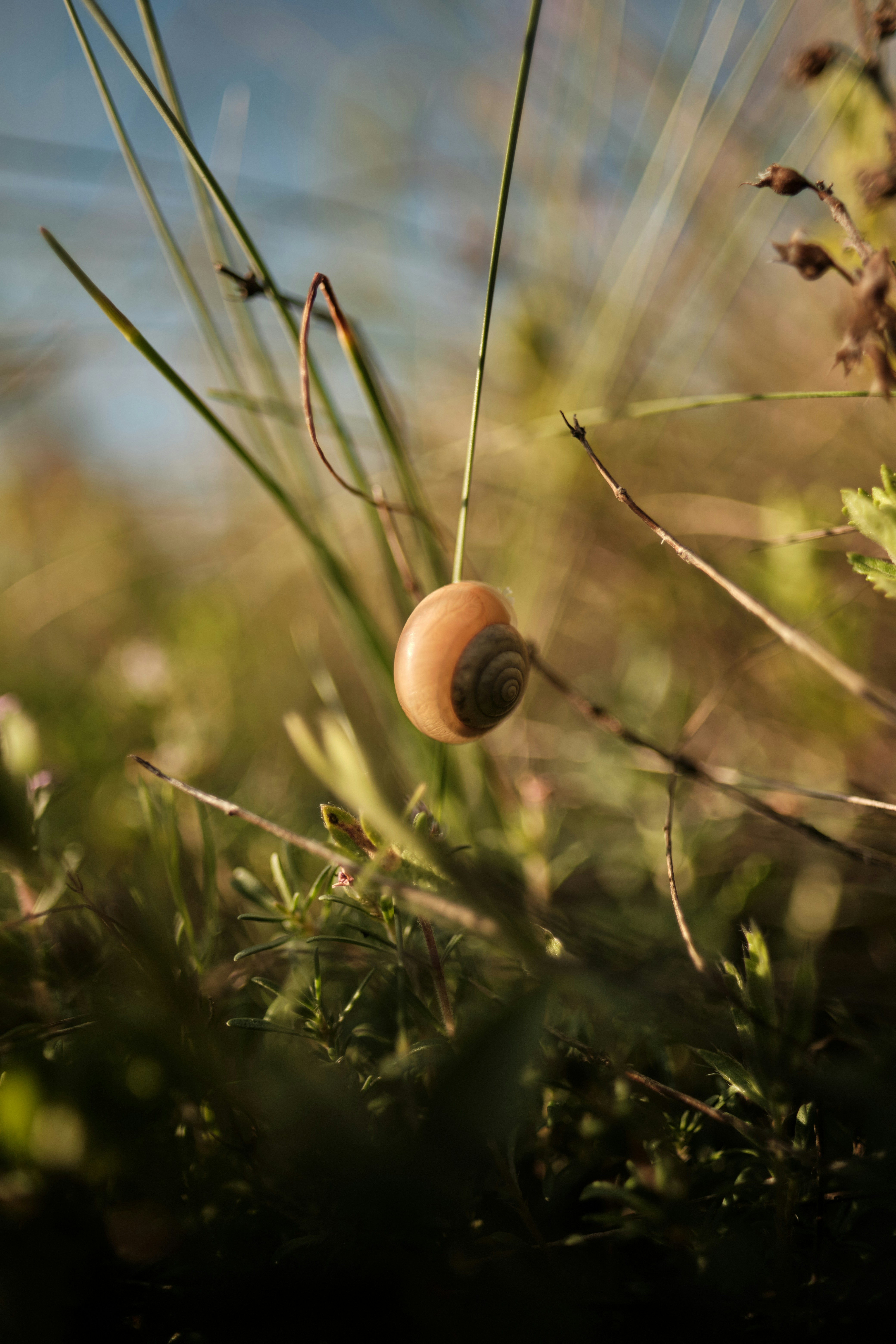 Photo by halofourteen