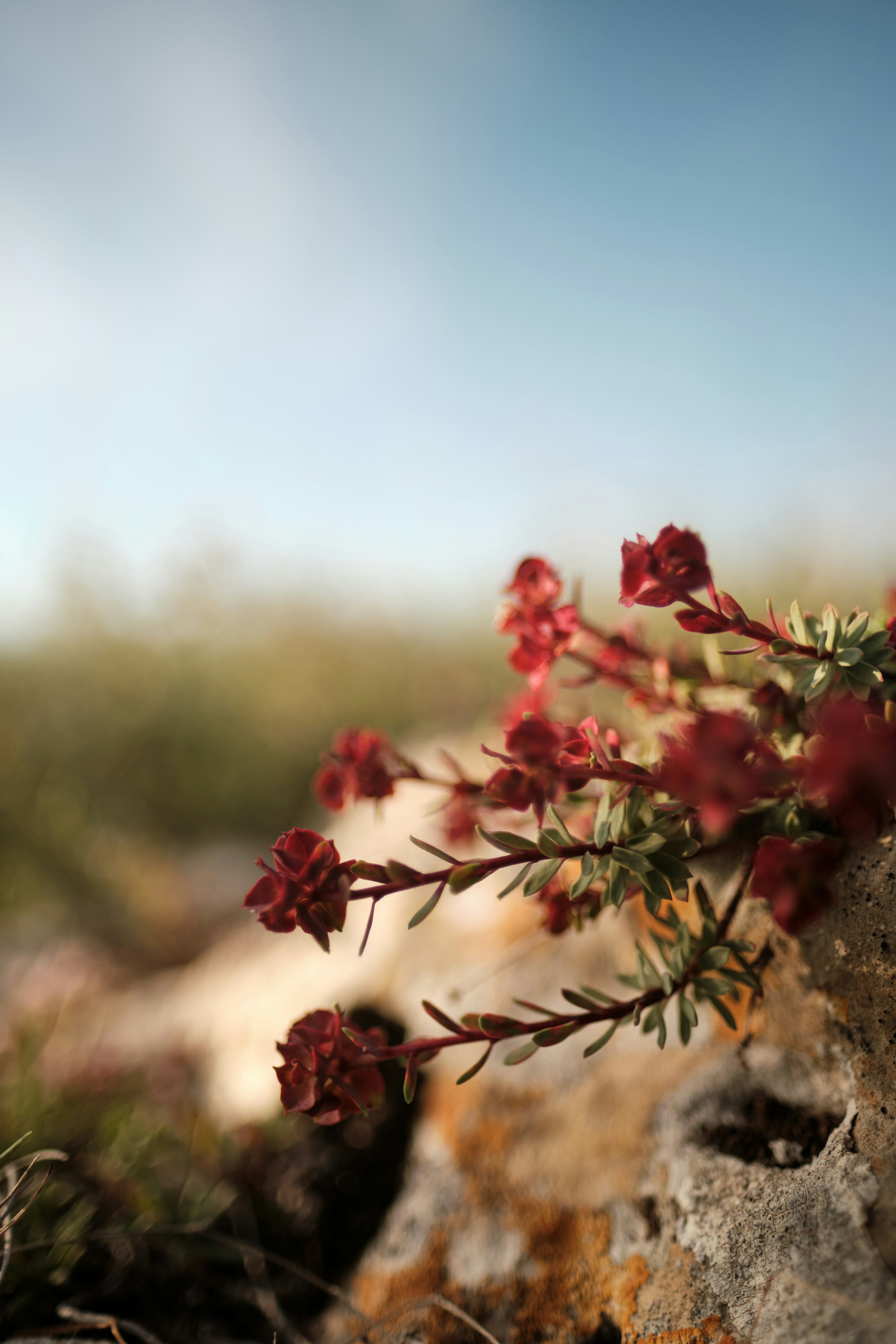 Photo by halofourteen