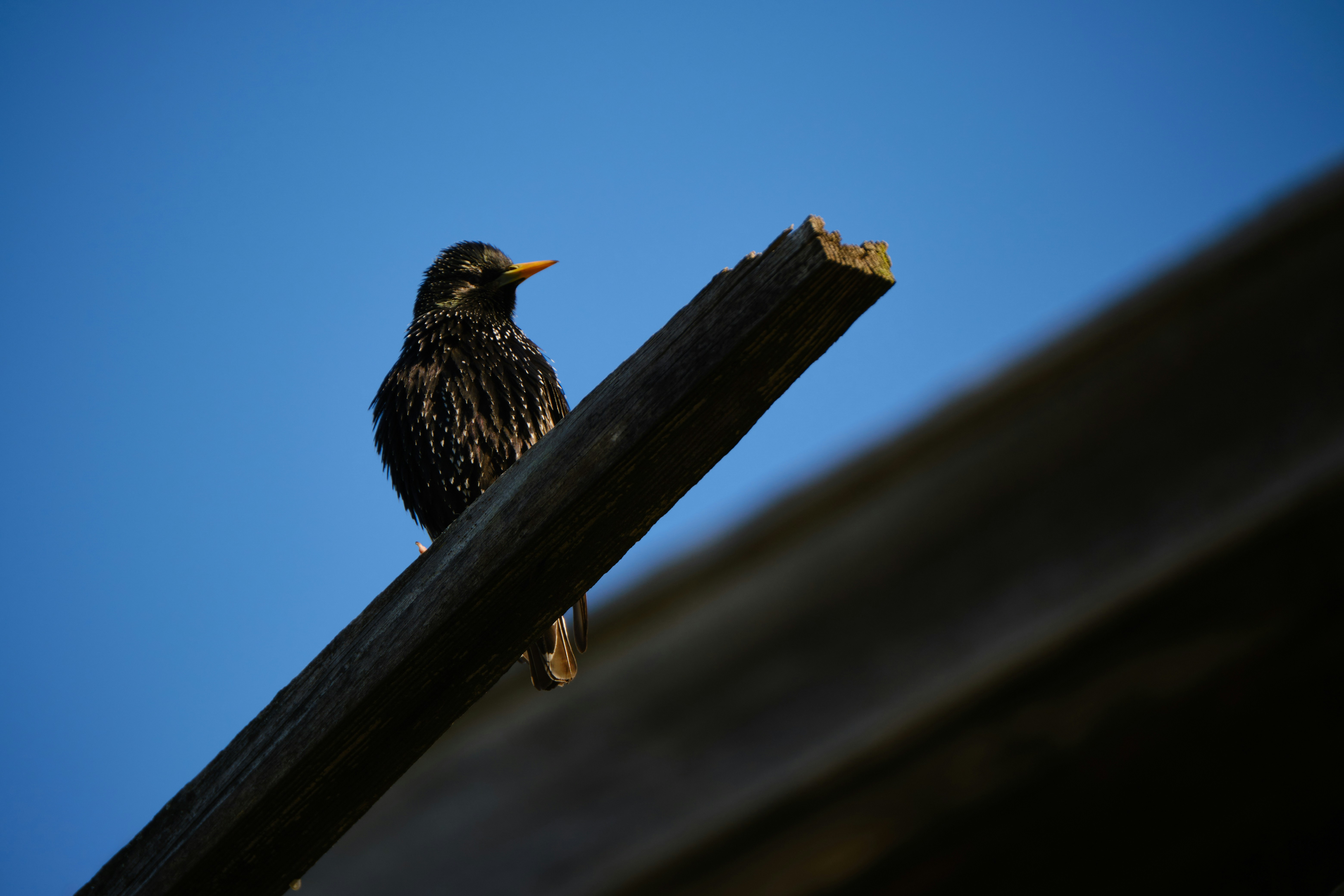 Photo by halofourteen