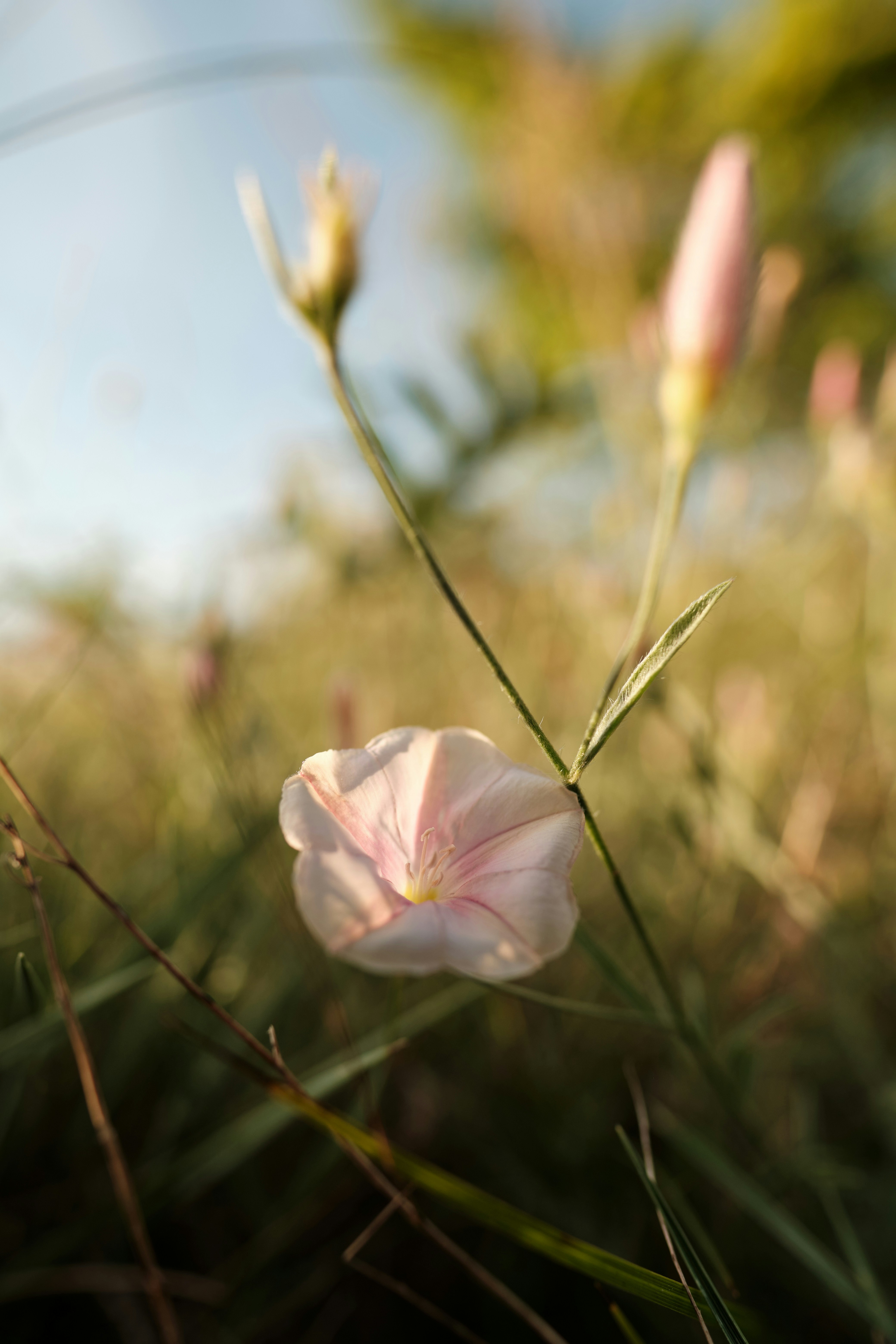 Photo by halofourteen