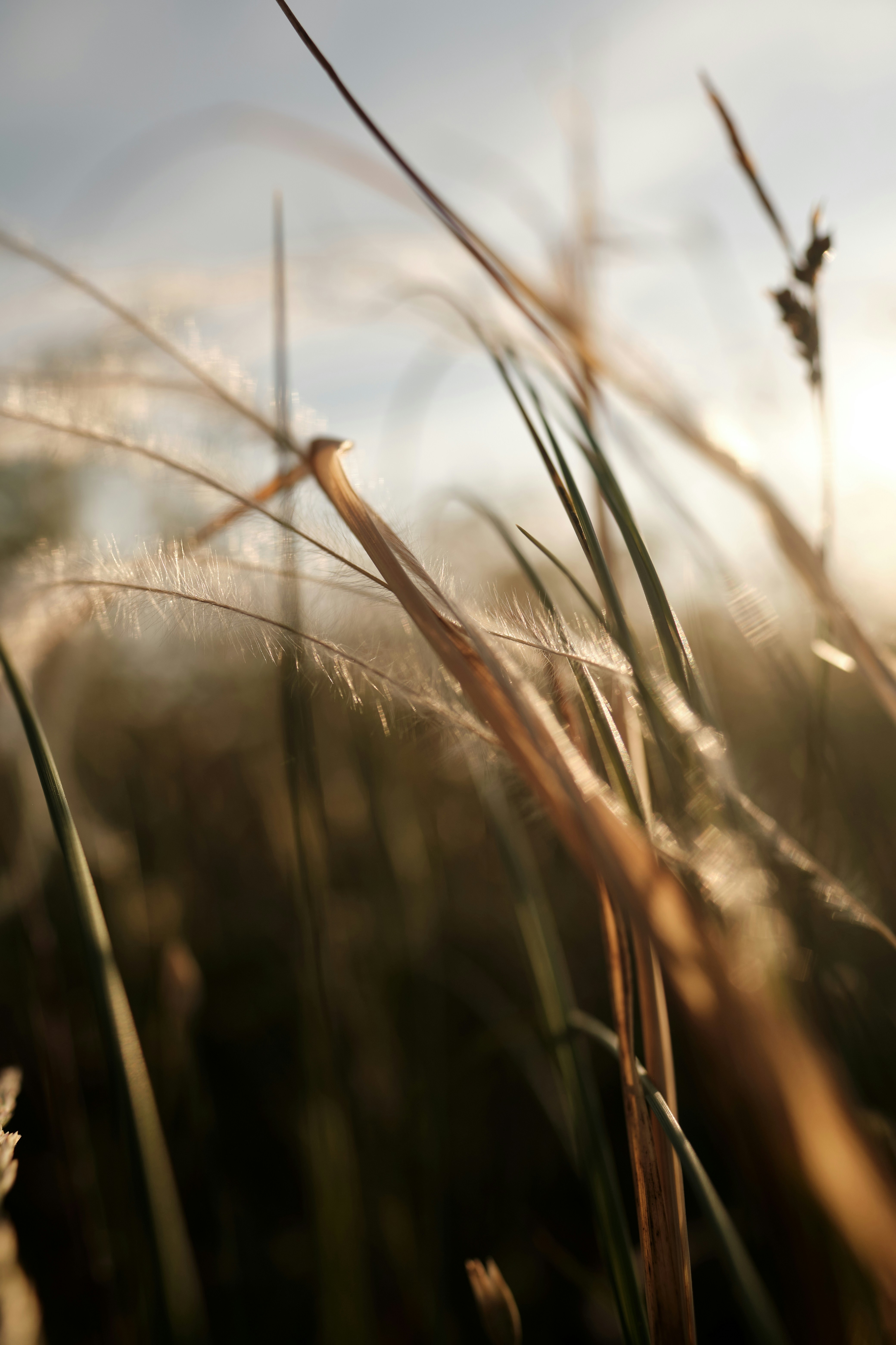 Photo by halofourteen