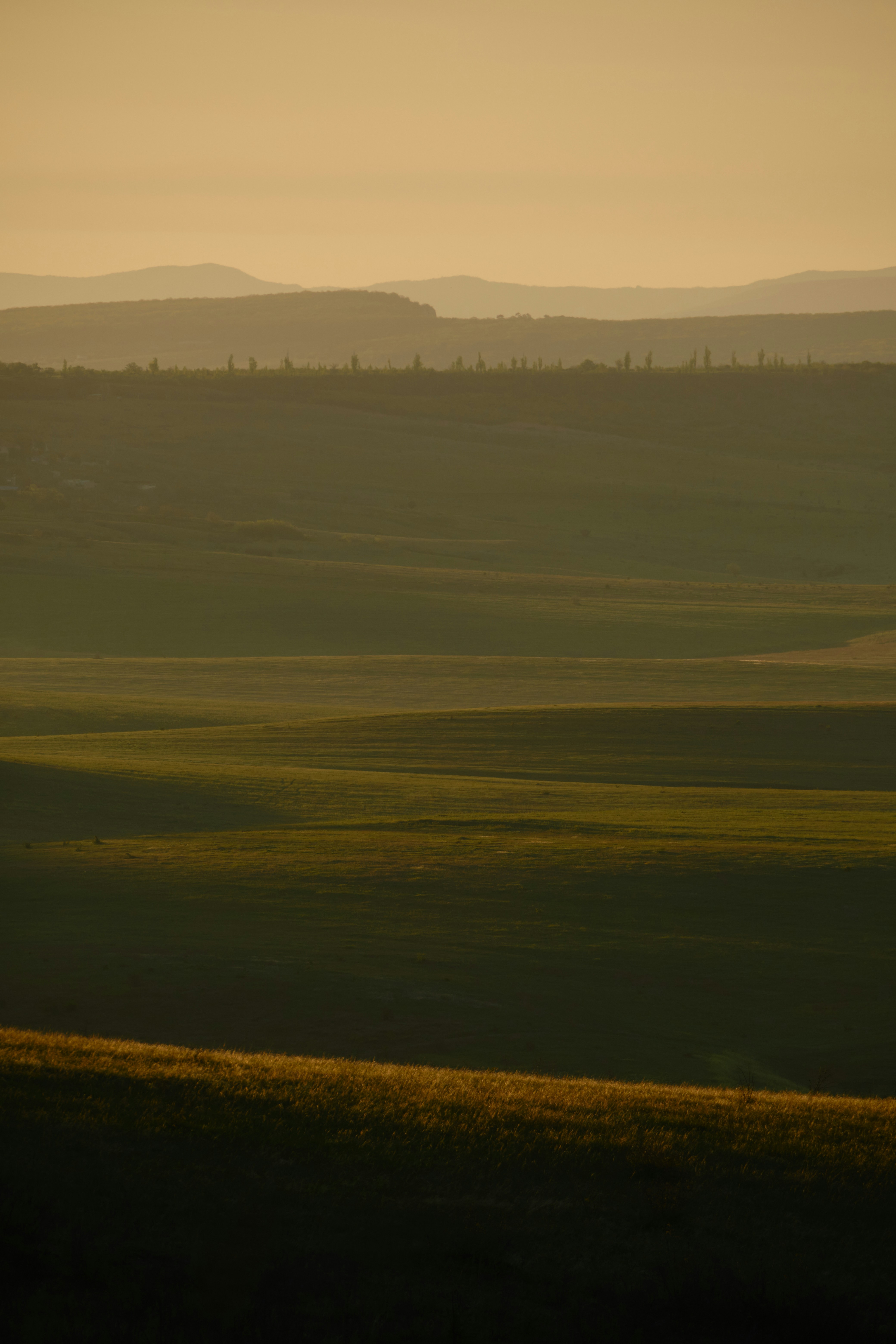 Photo by halofourteen