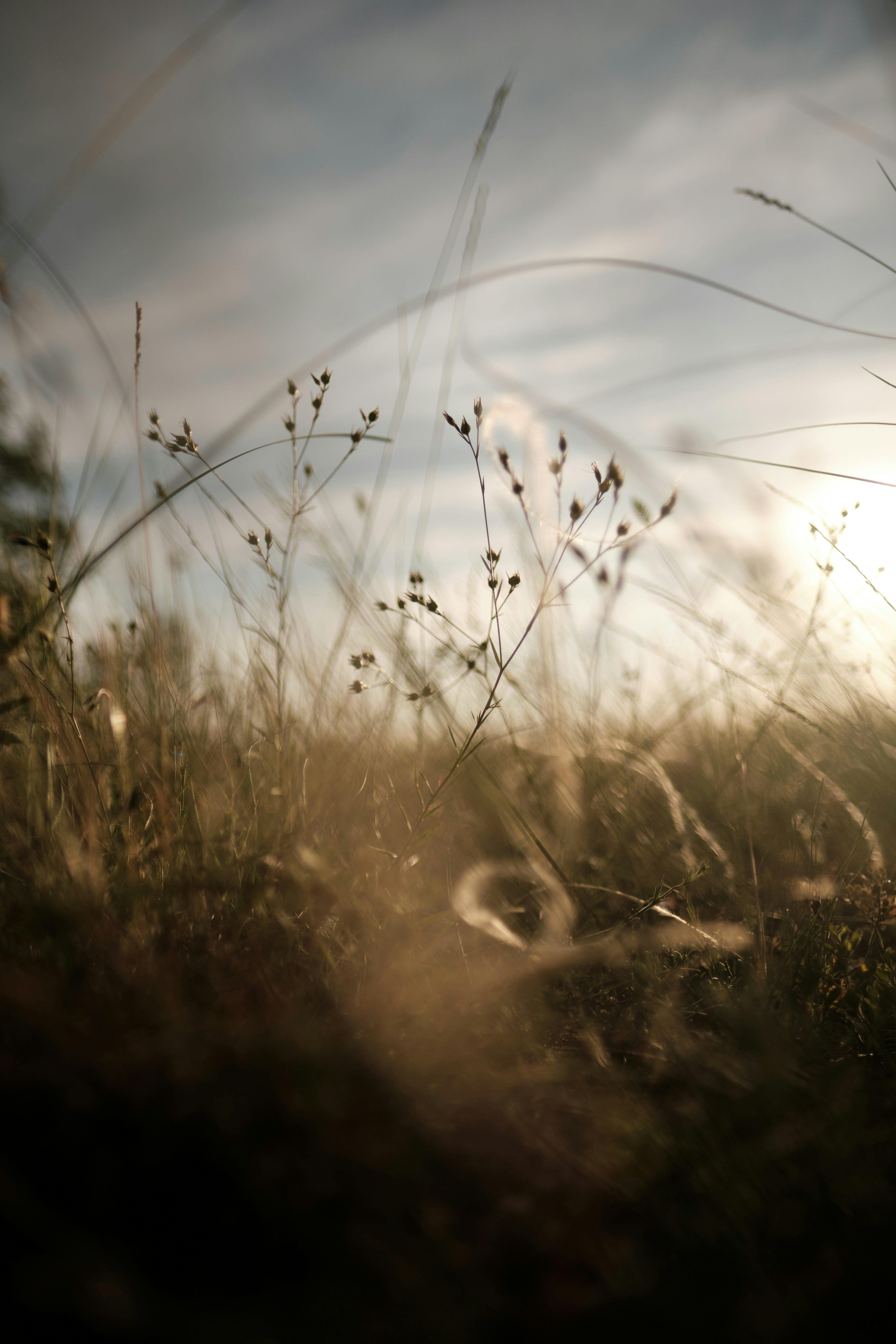 Photo by halofourteen