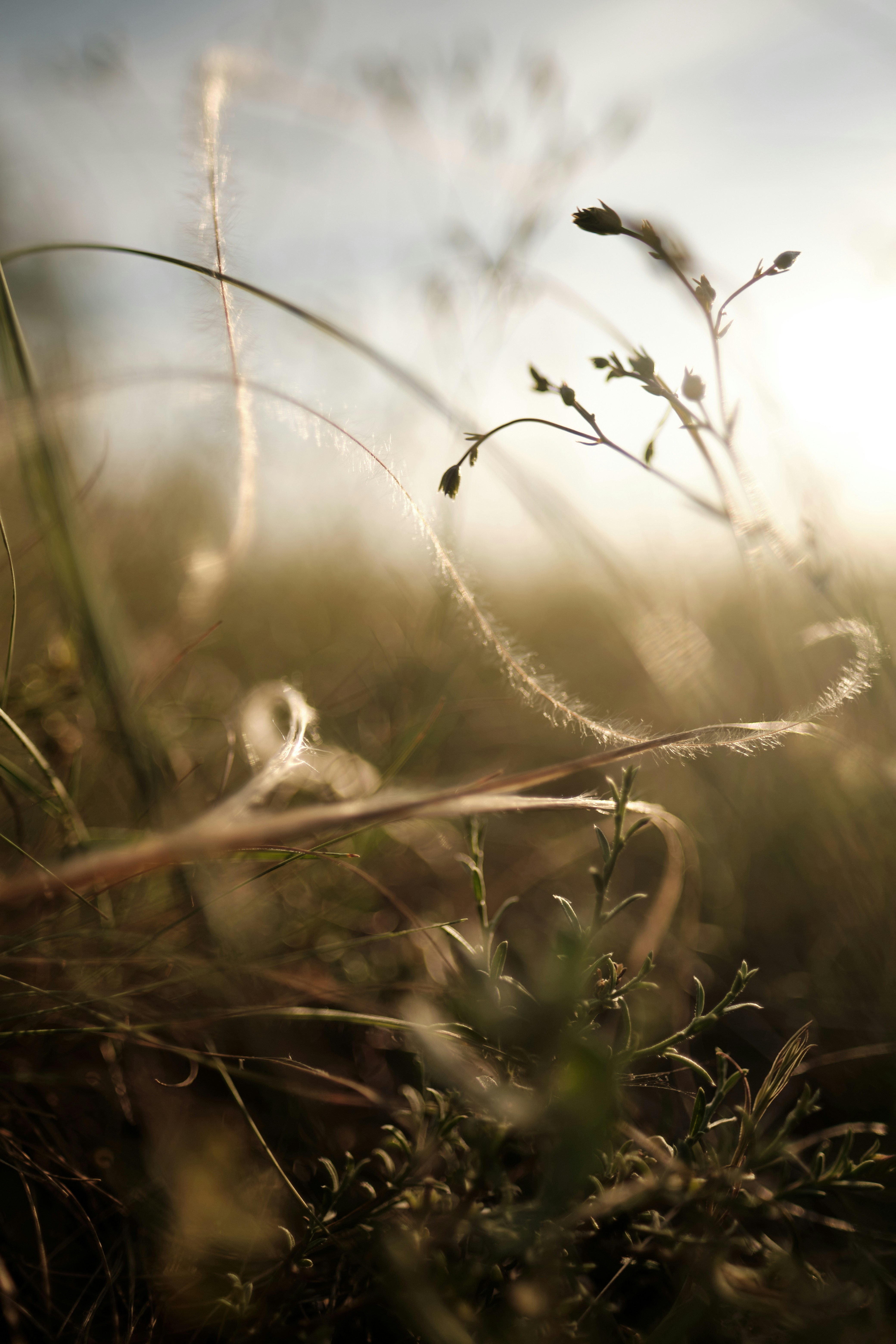 Photo by halofourteen