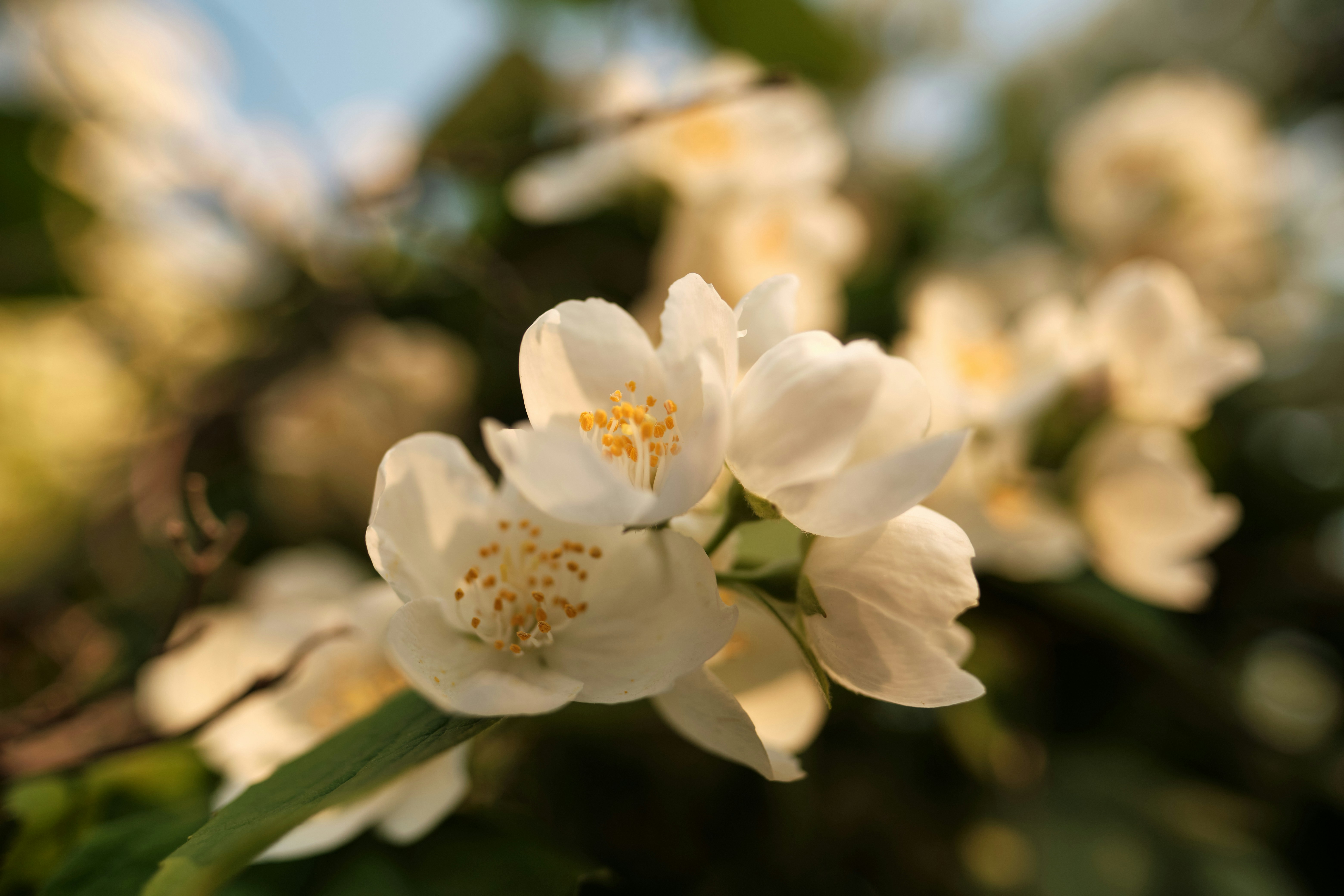 Photo by halofourteen