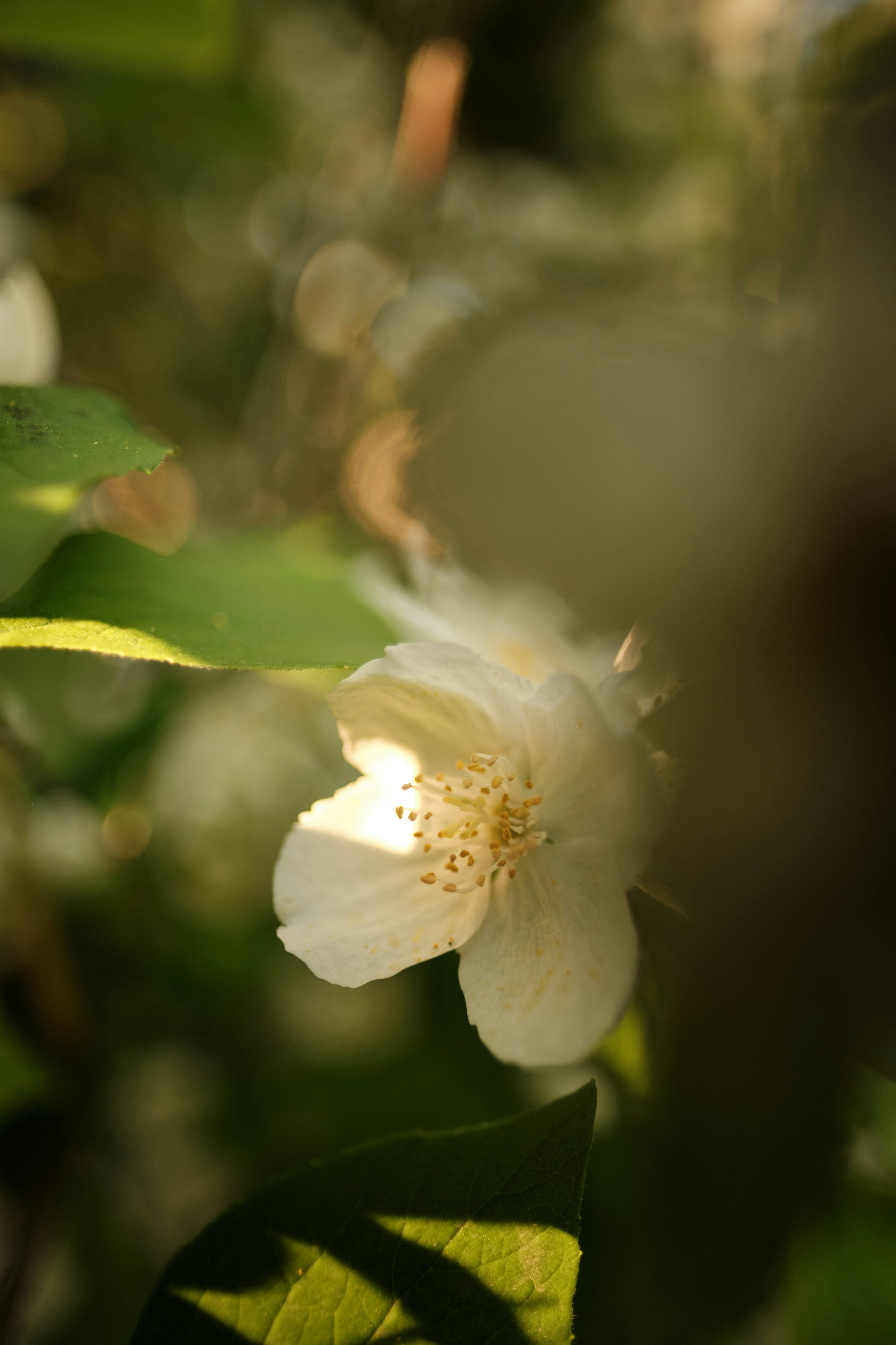 Photo by halofourteen