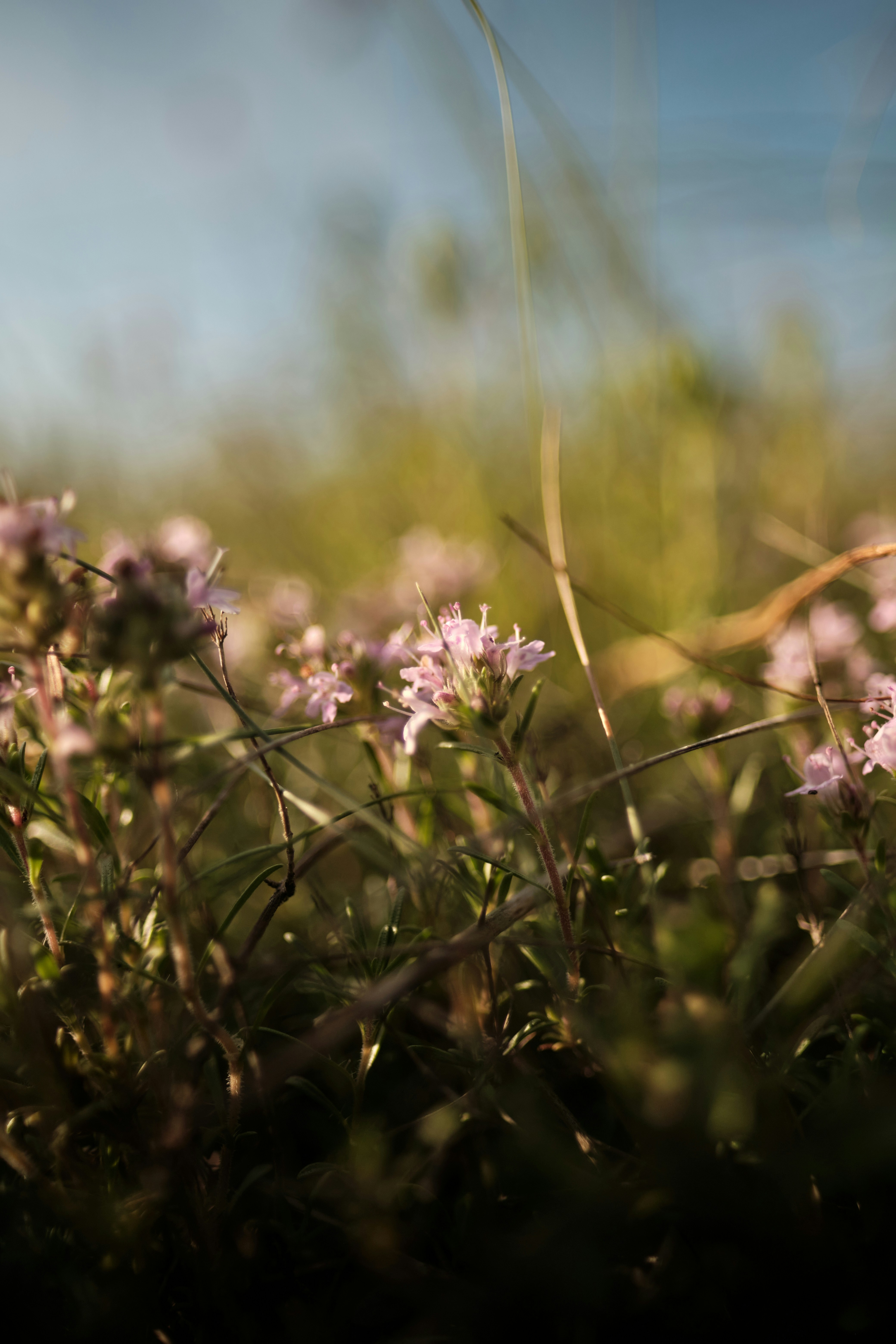 Photo by halofourteen