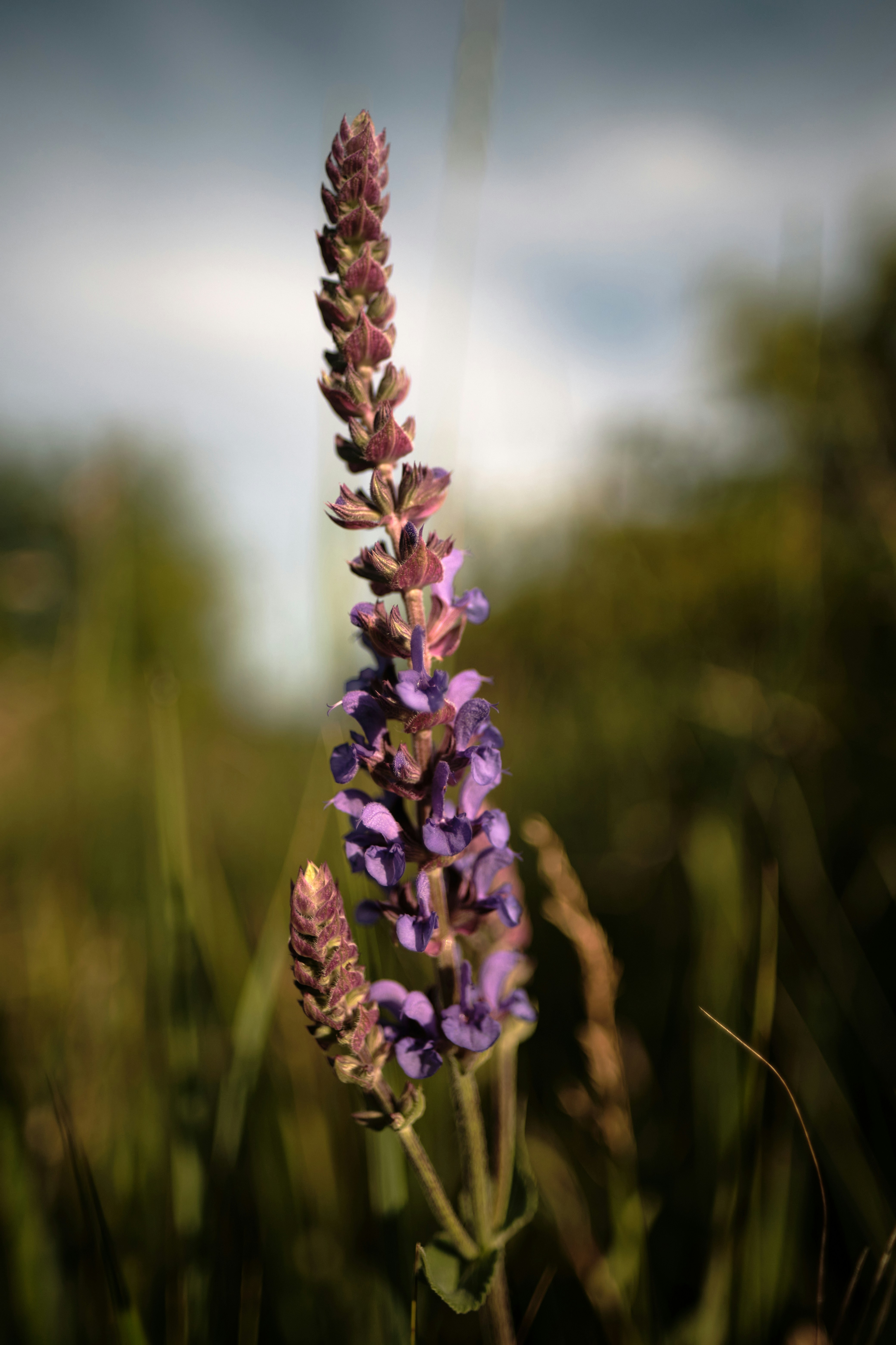 Photo by halofourteen