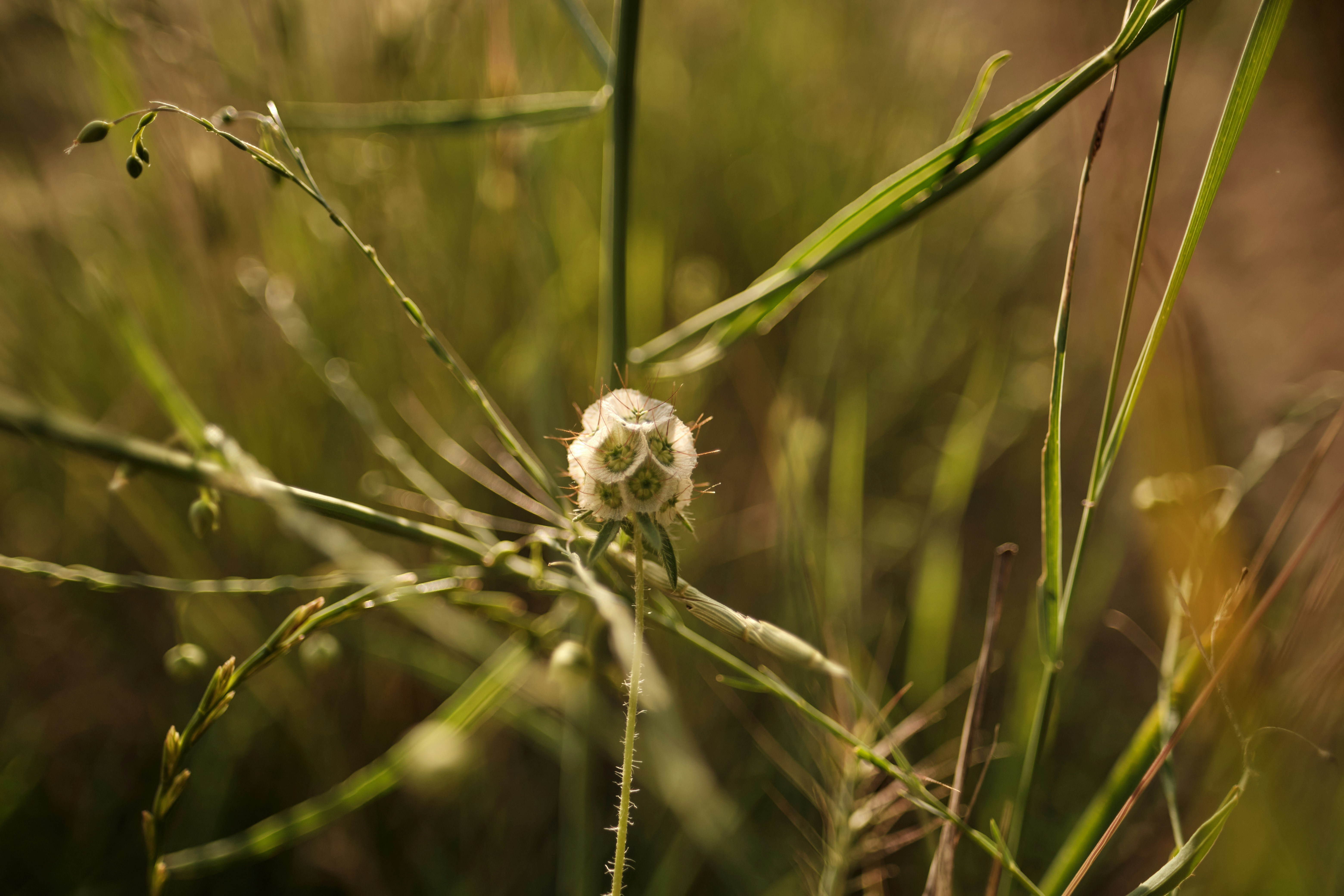 Photo by halofourteen