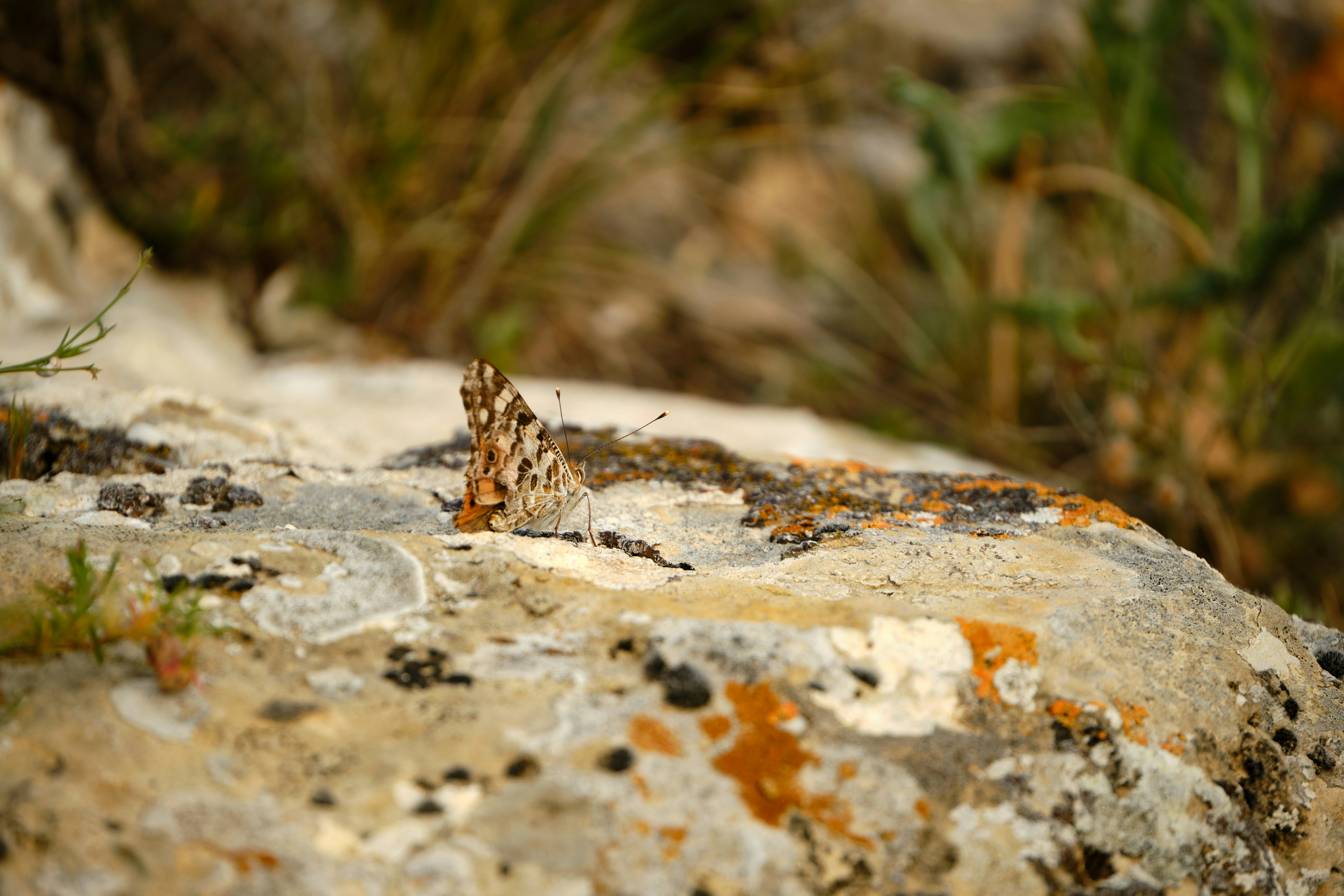 Photo by halofourteen