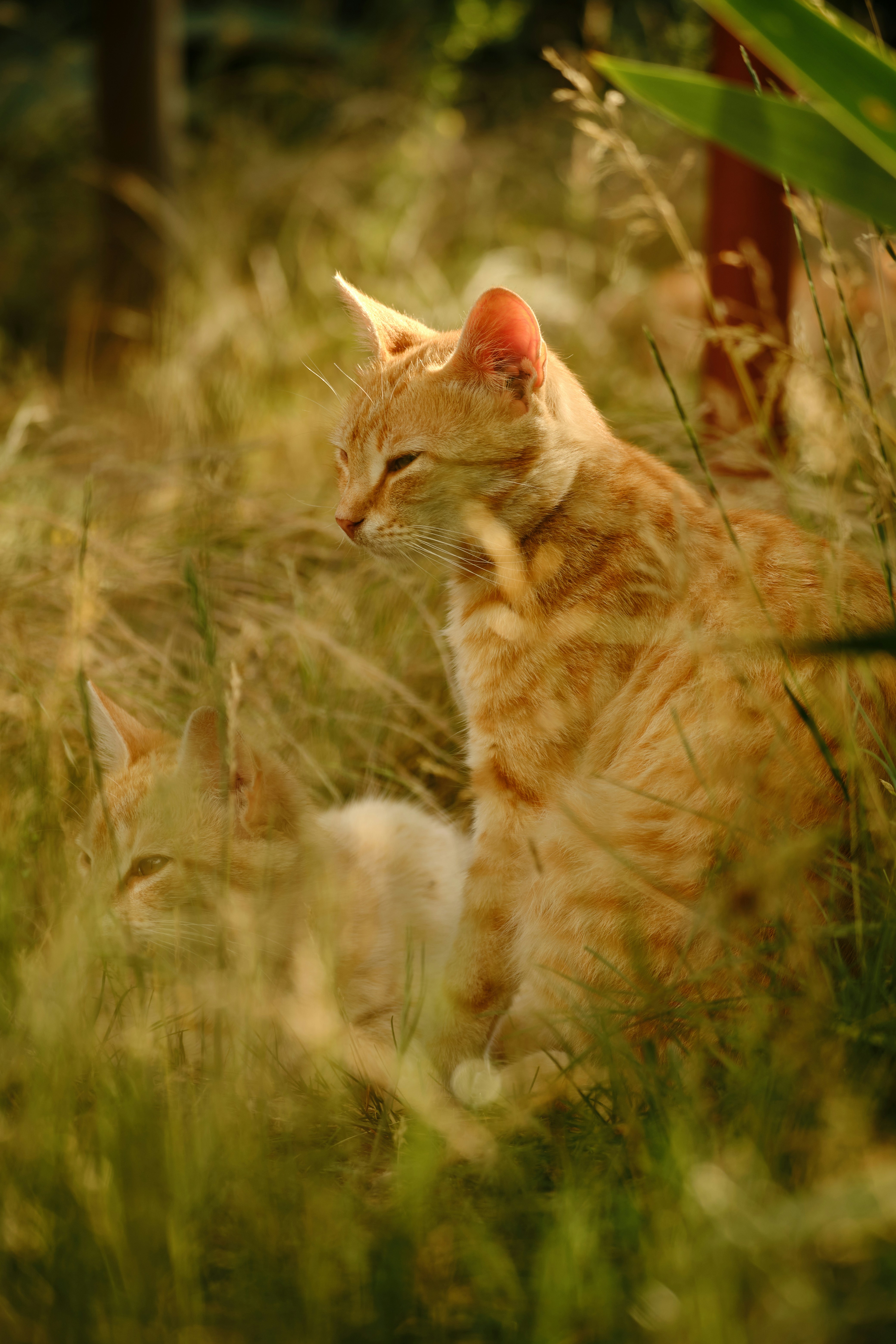 Photo by halofourteen