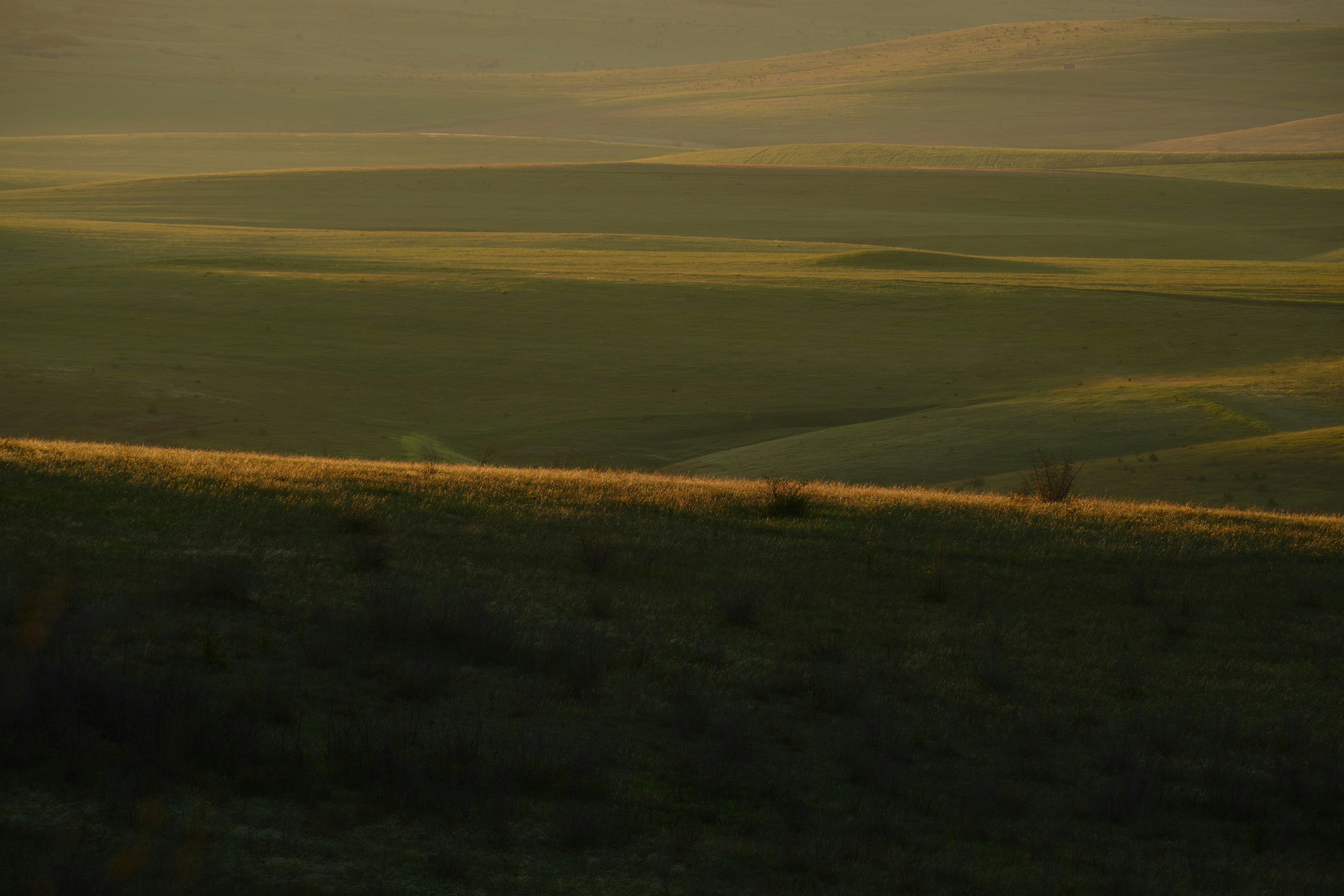 Photo by halofourteen