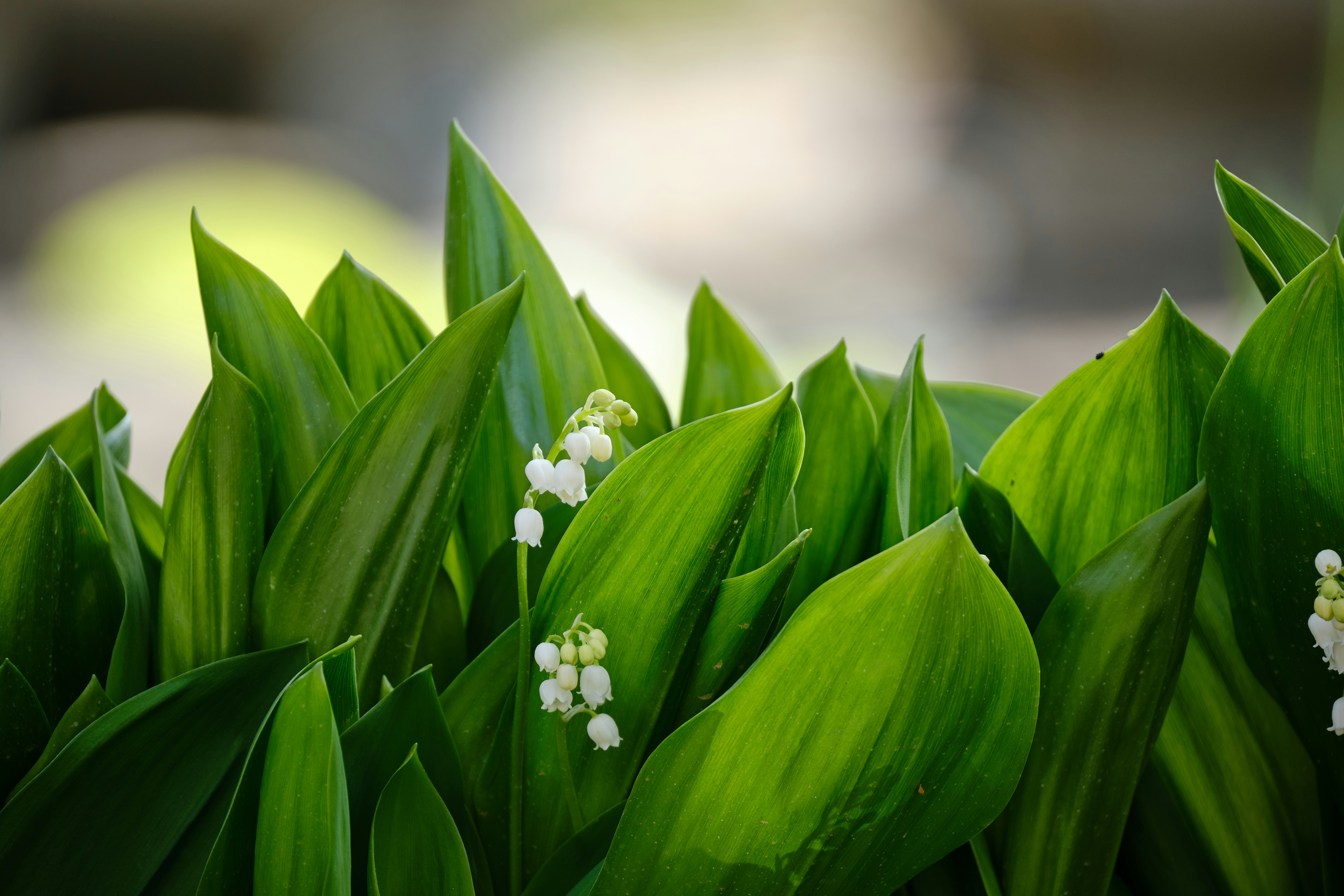 Photo by halofourteen