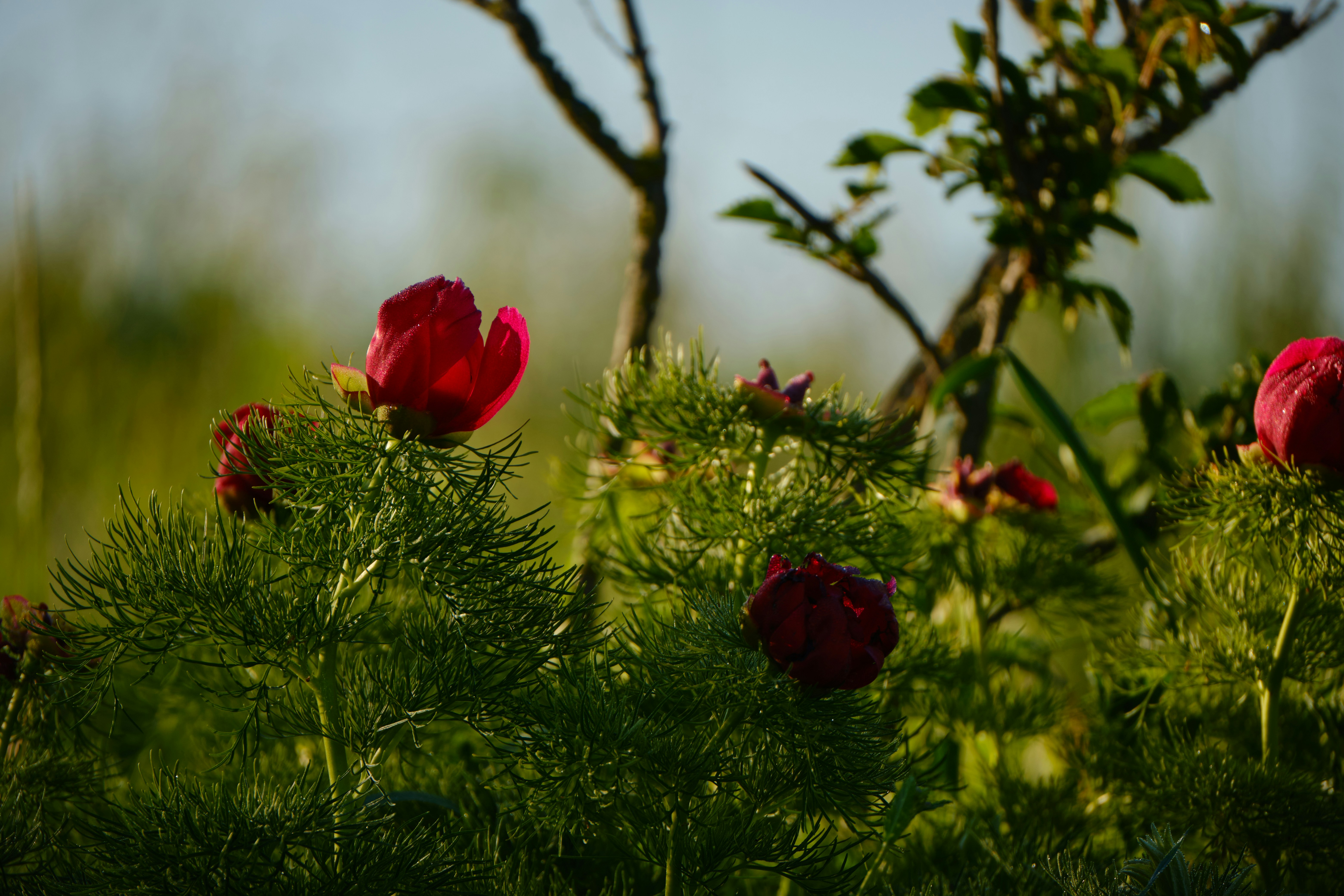 Photo by halofourteen