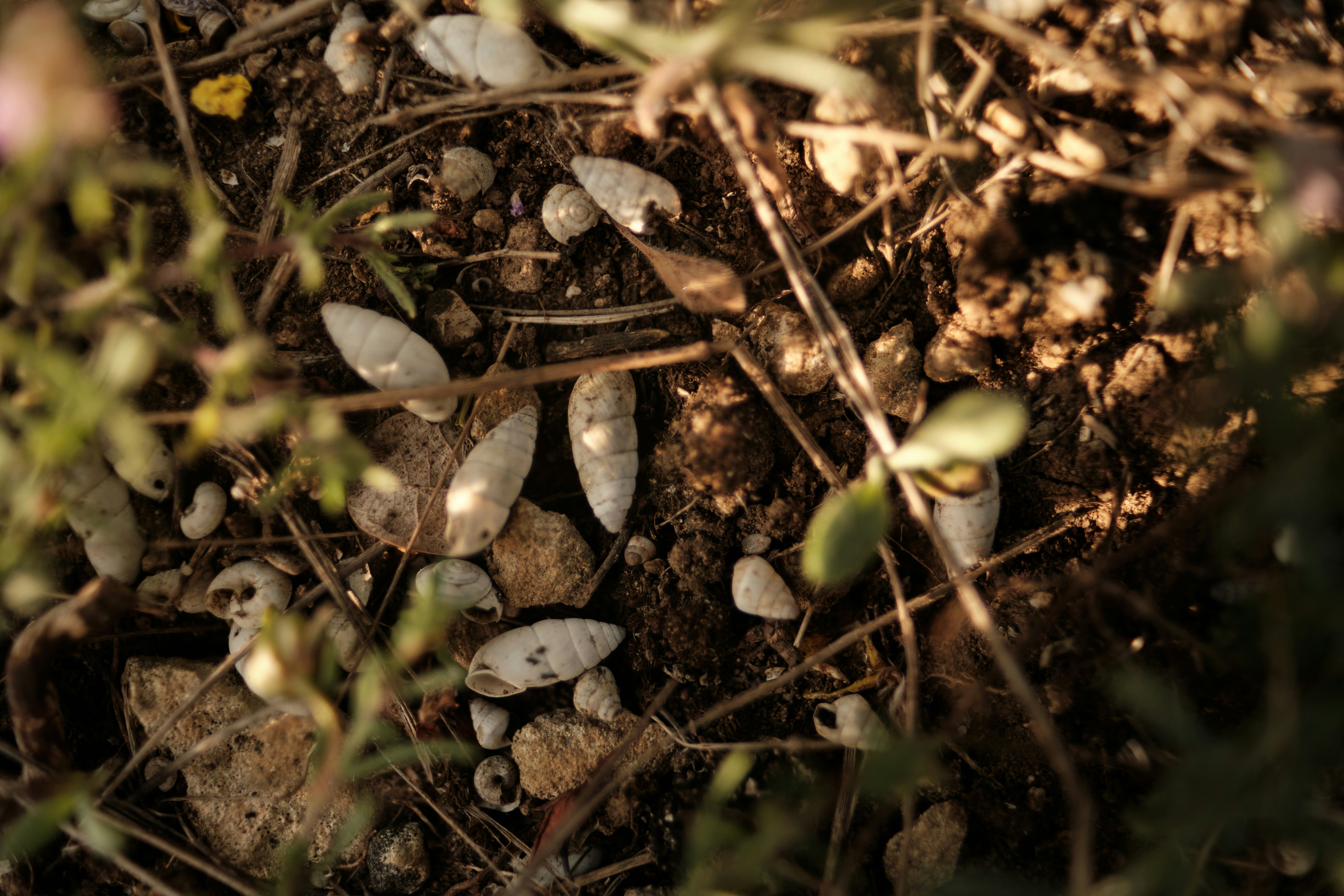 Photo by halofourteen