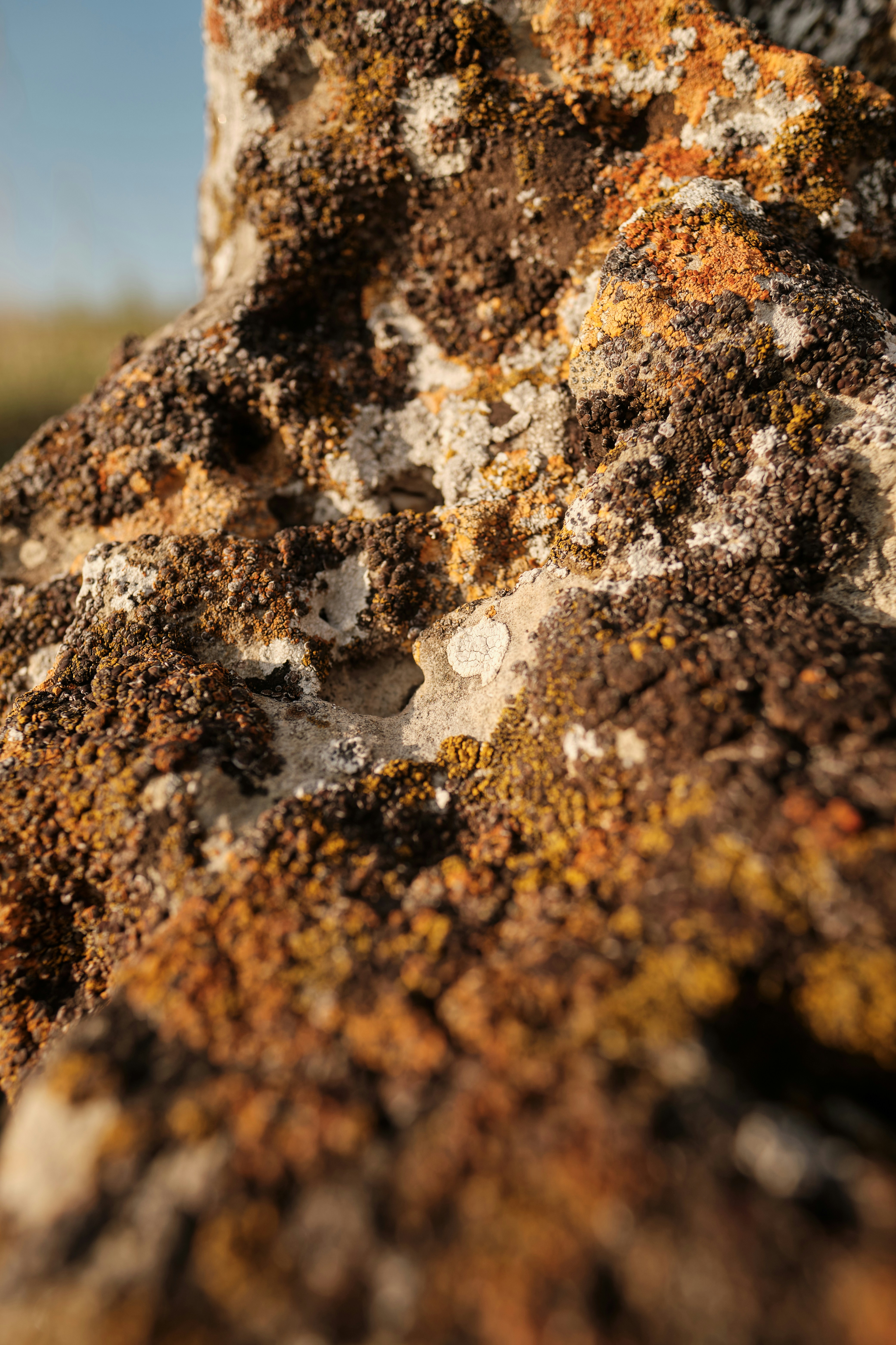 Photo by halofourteen