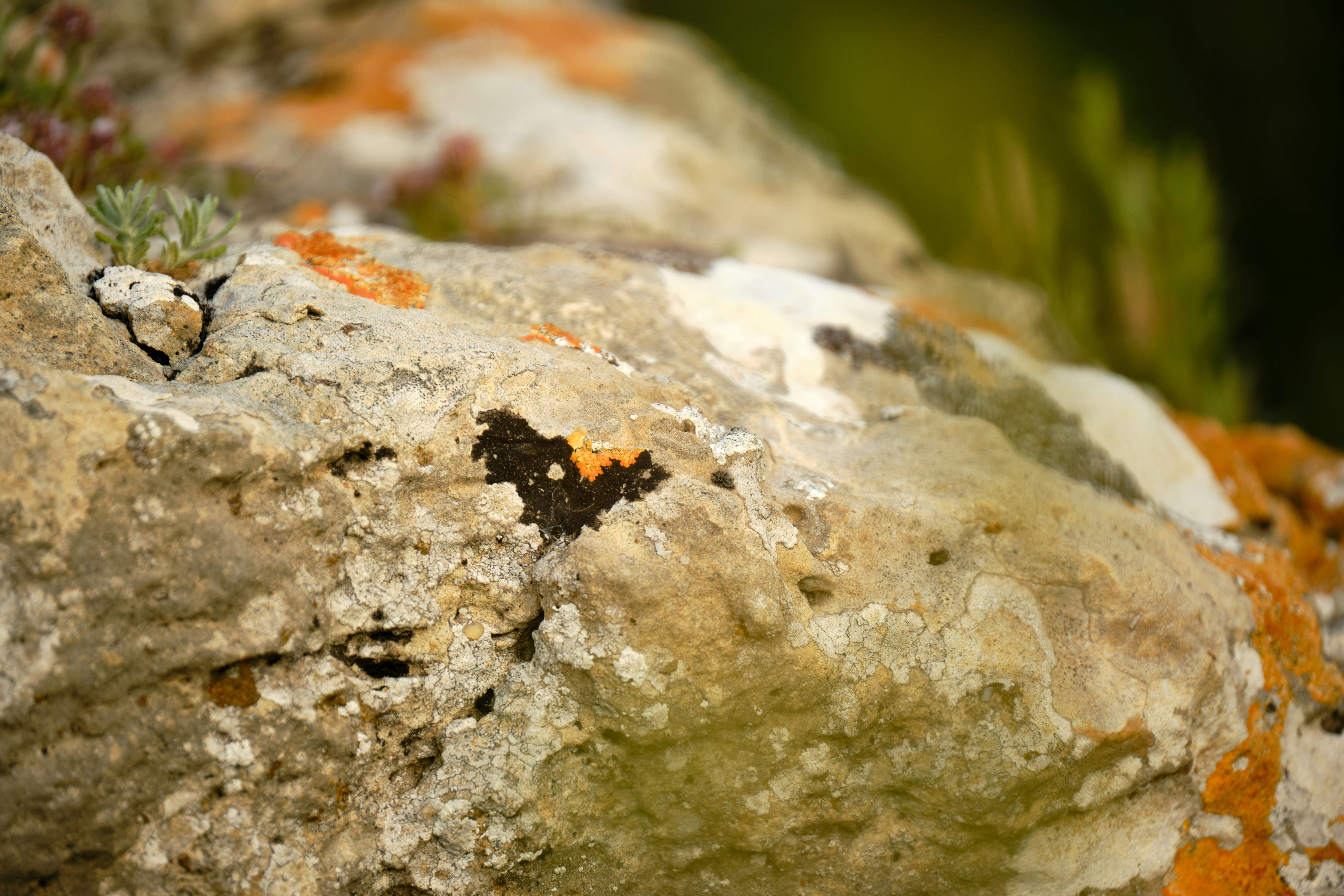 Photo by halofourteen