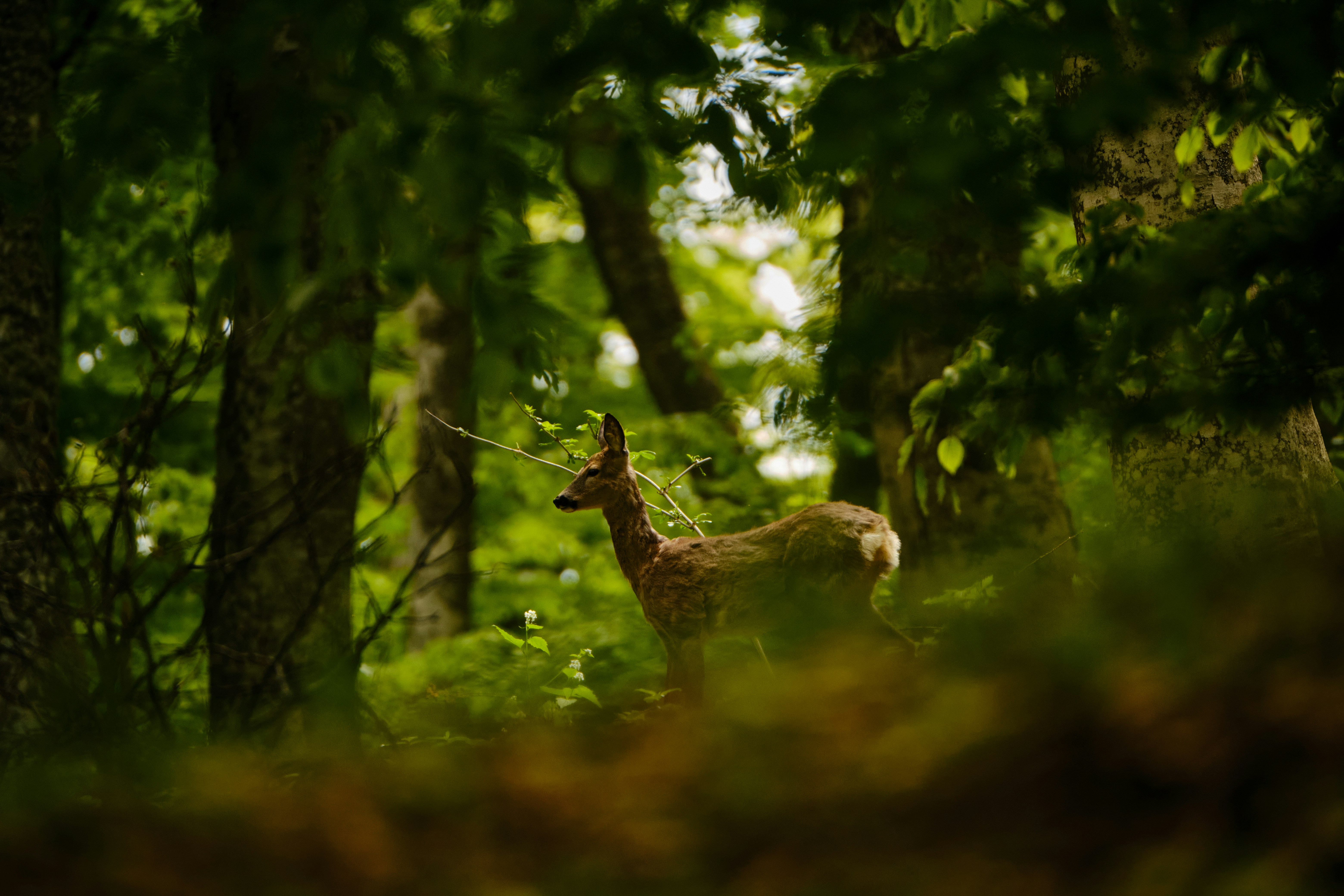 Photo by halofourteen