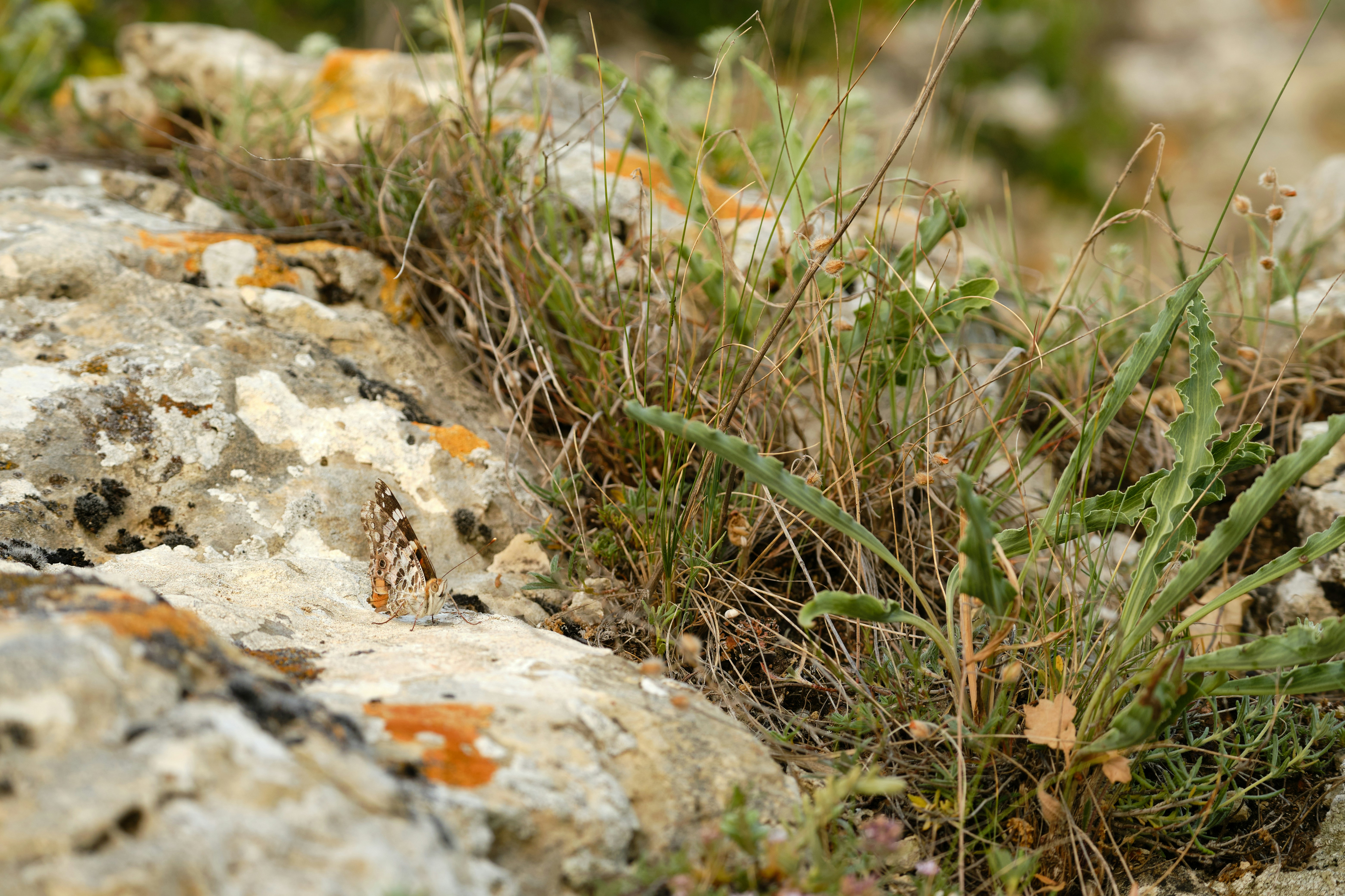 Photo by halofourteen