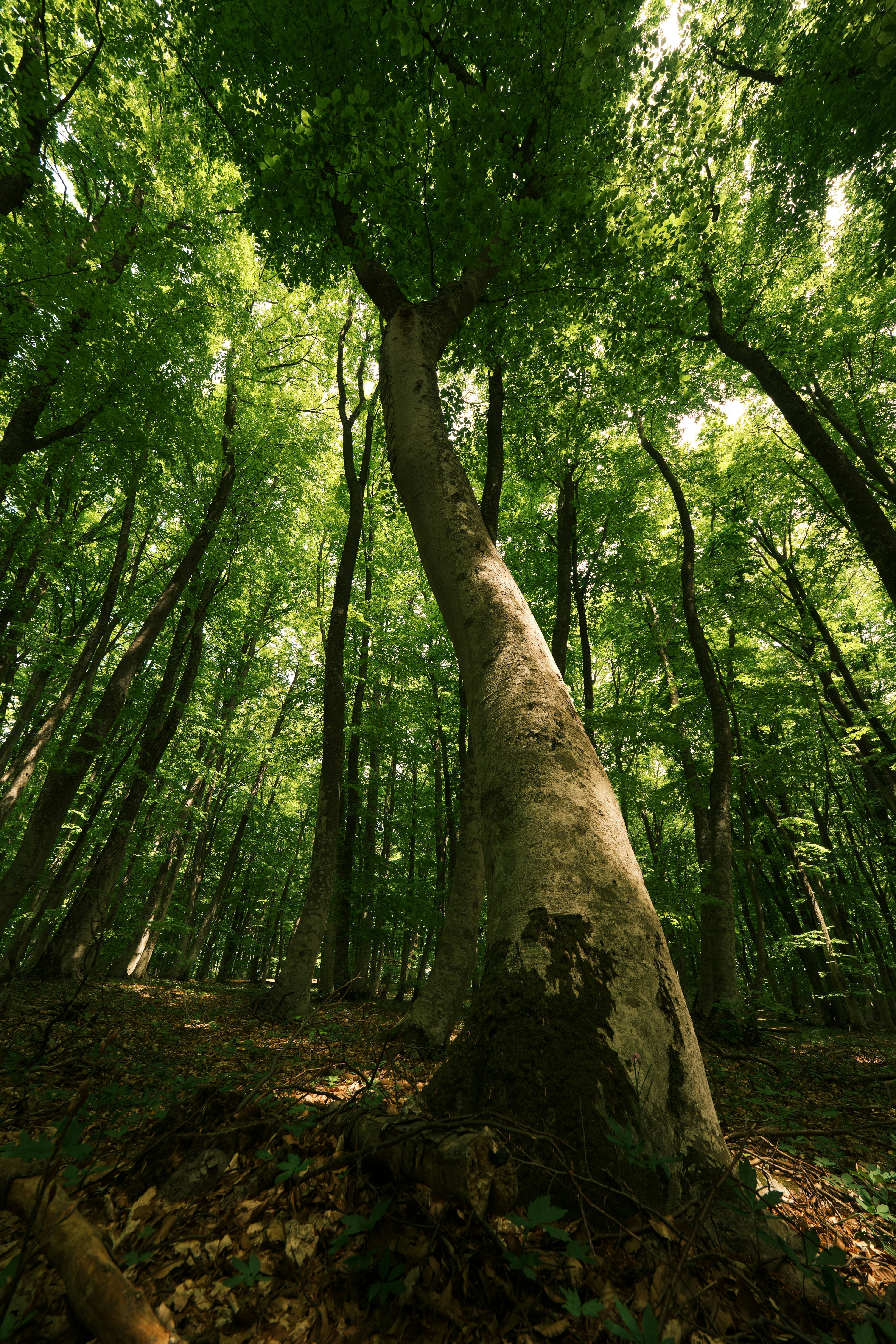 Photo by halofourteen