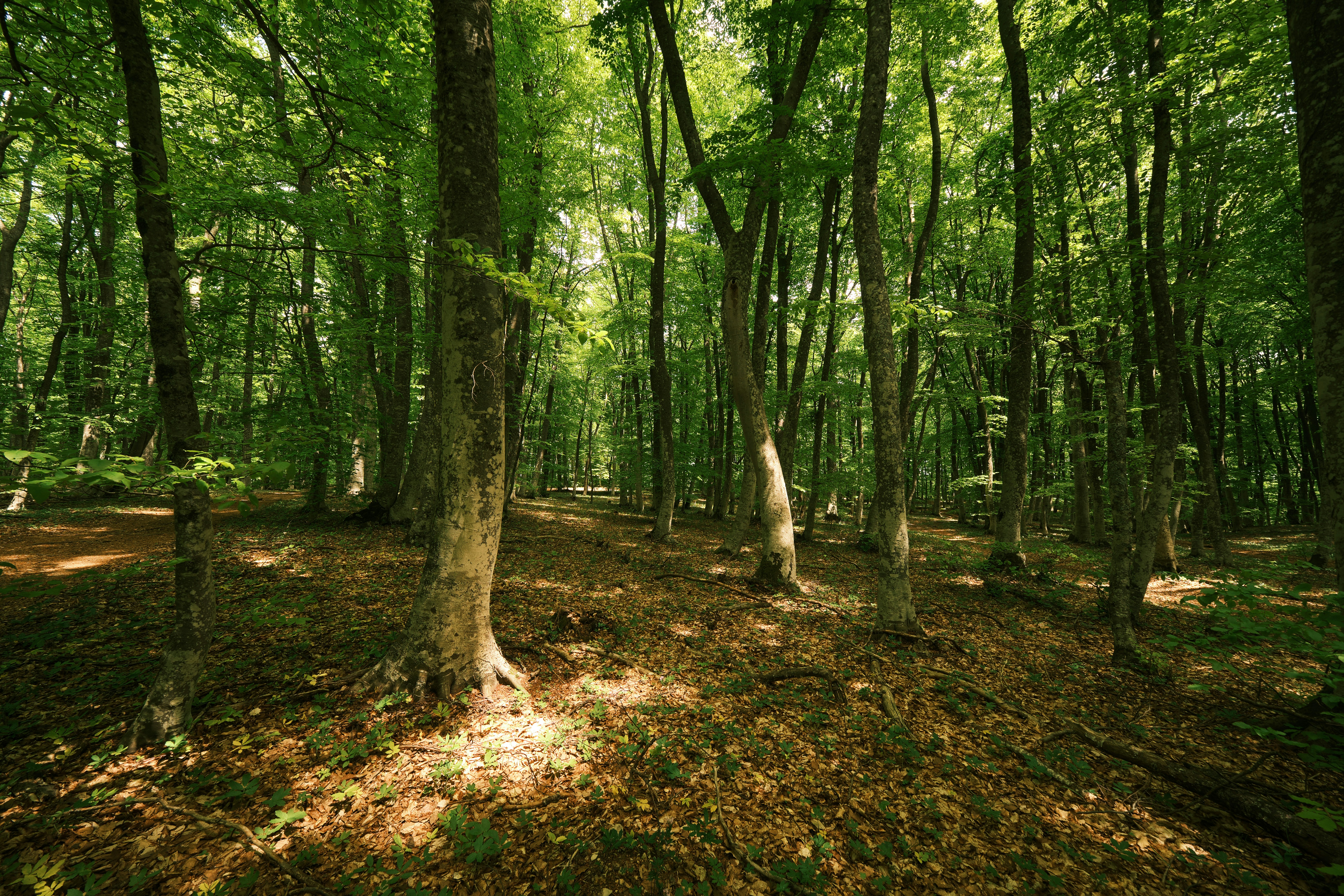 Photo by halofourteen