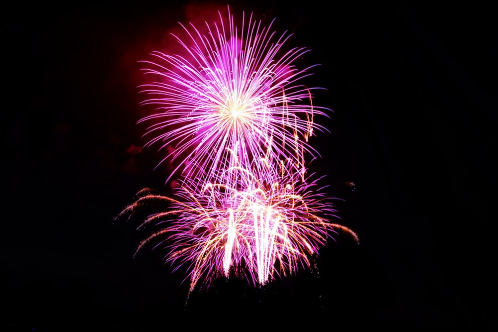 a bright pink and white fireworks display