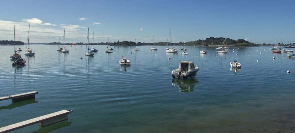 a group of boats in a harbor