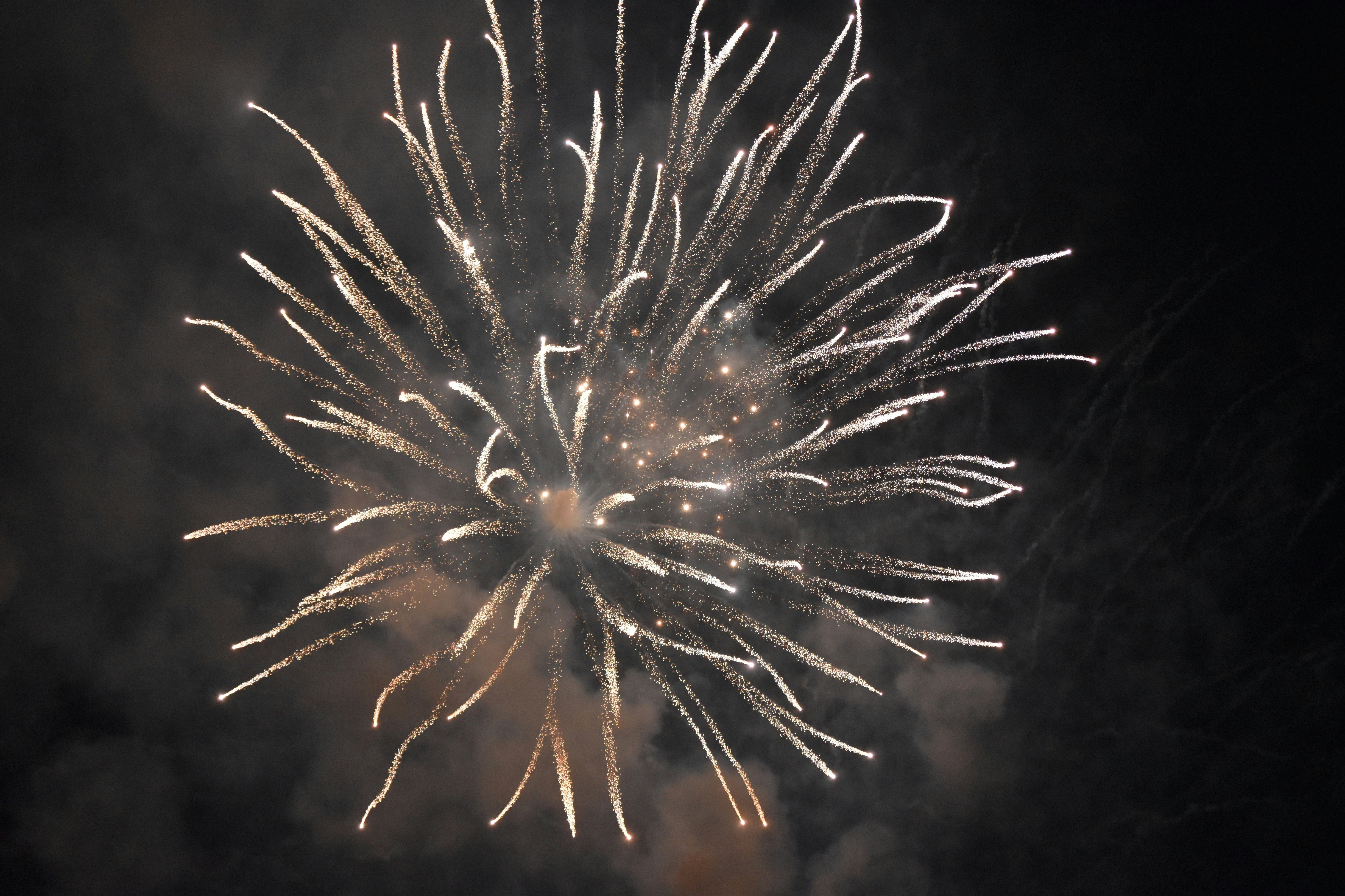 Photo by lej__photography