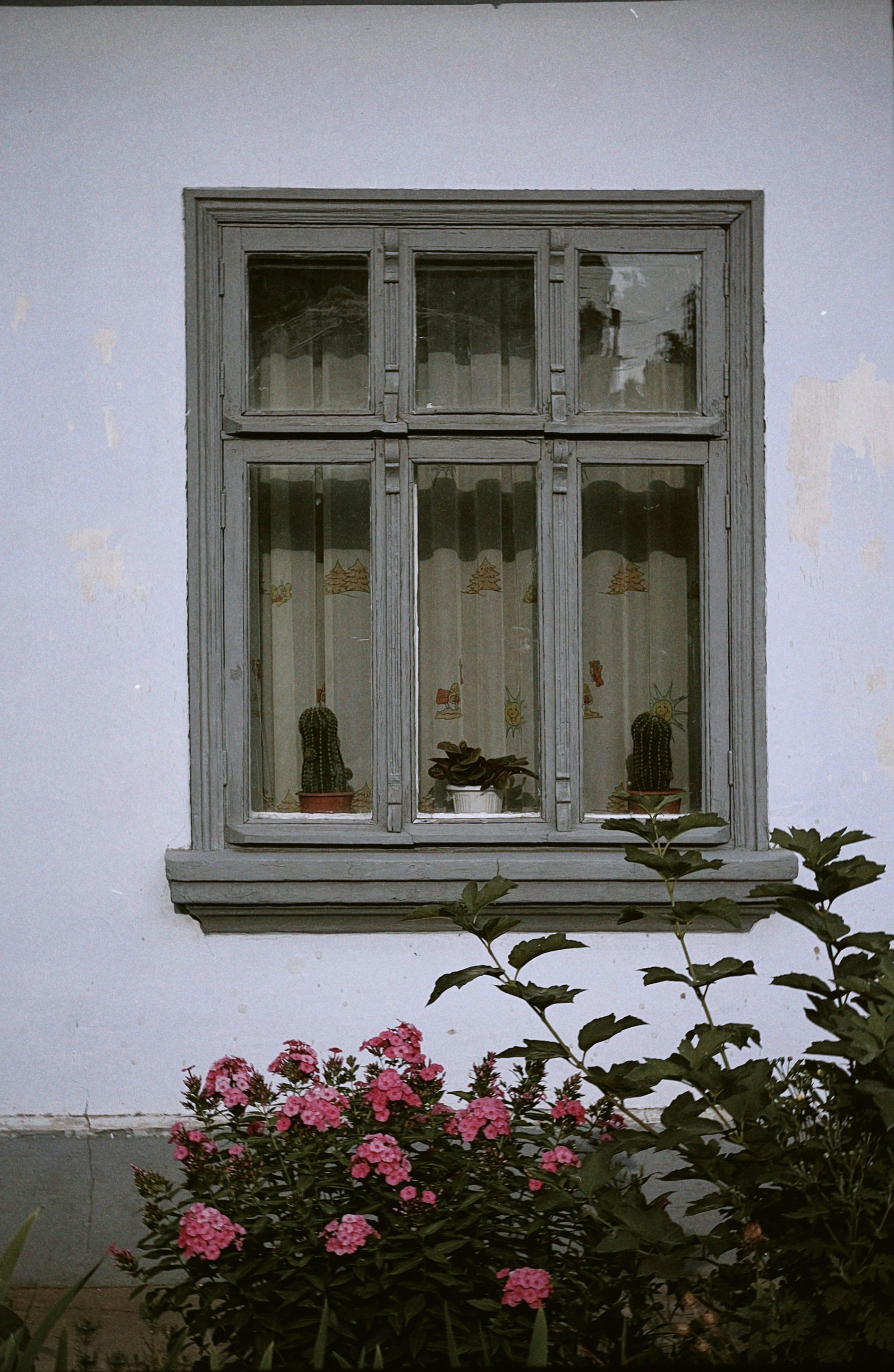 Photo by ksusha_kazak