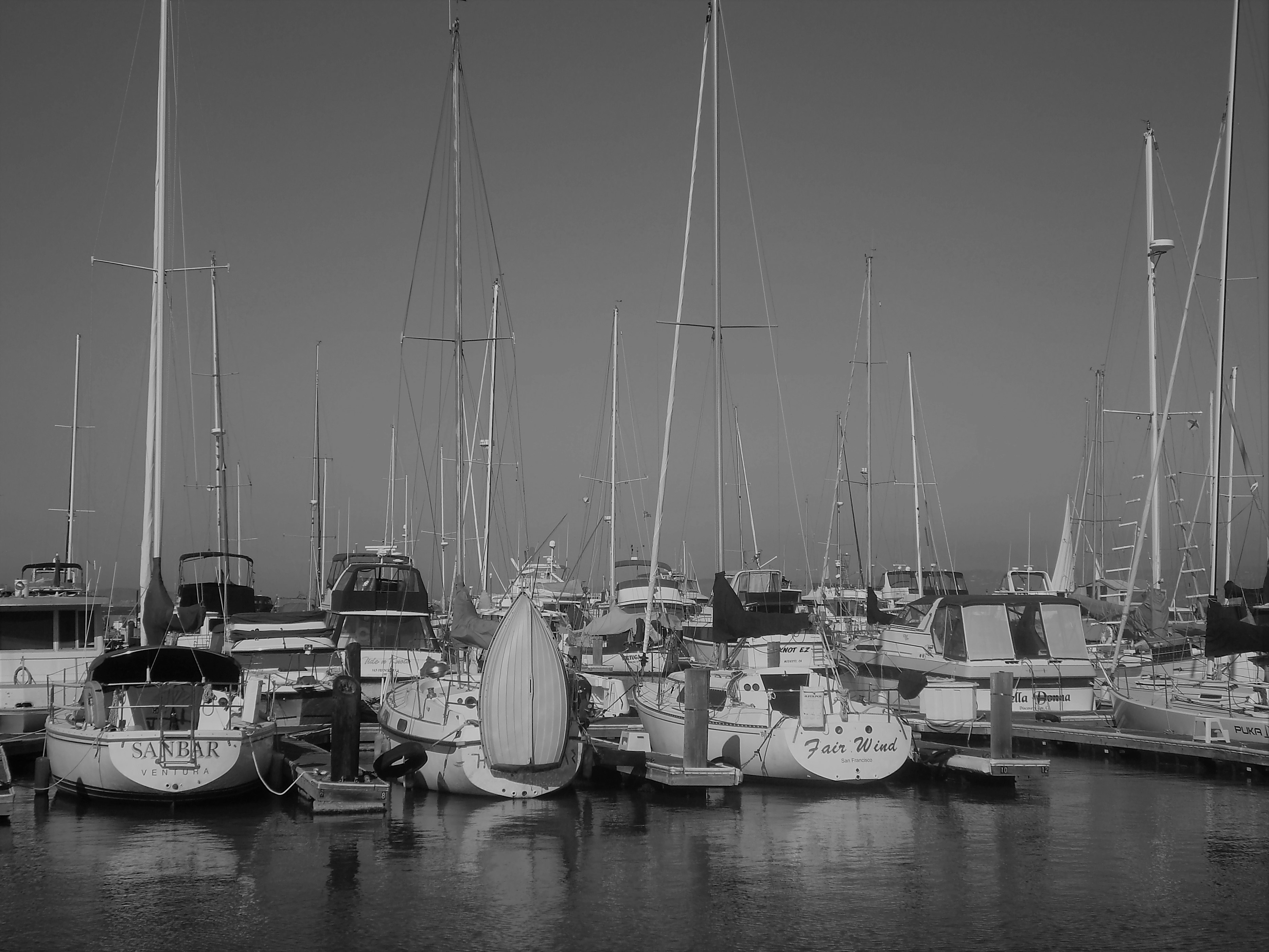 Photo by garnicanetwork